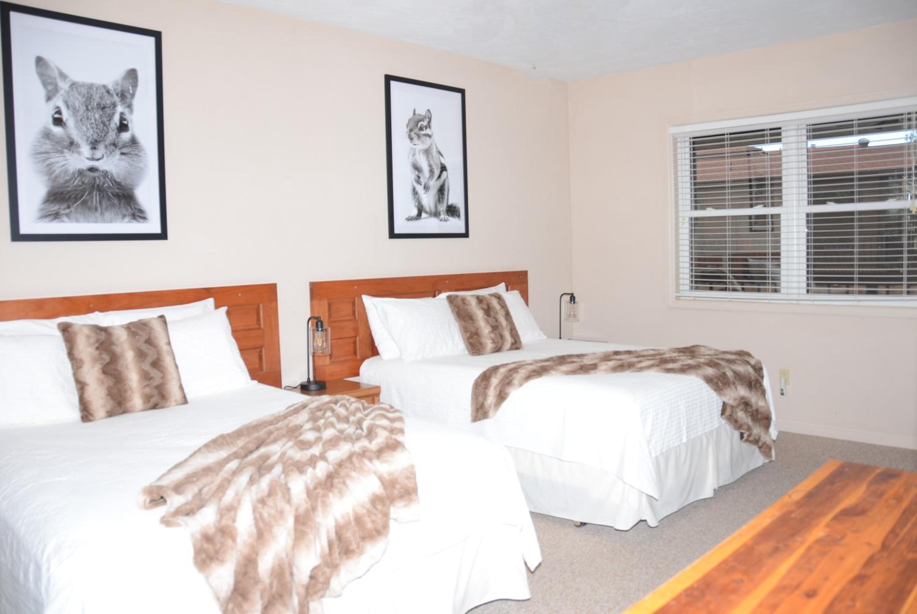 Queen Suite photo 3