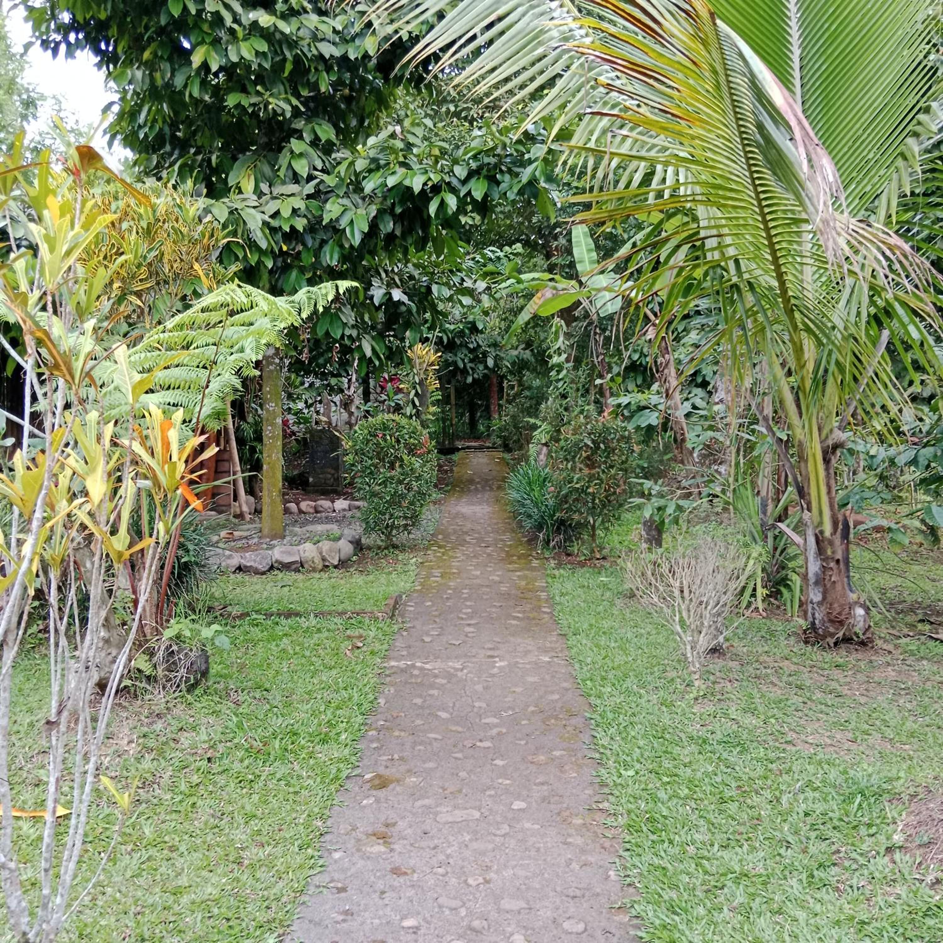 One-Bedroom Villa - Photo 31