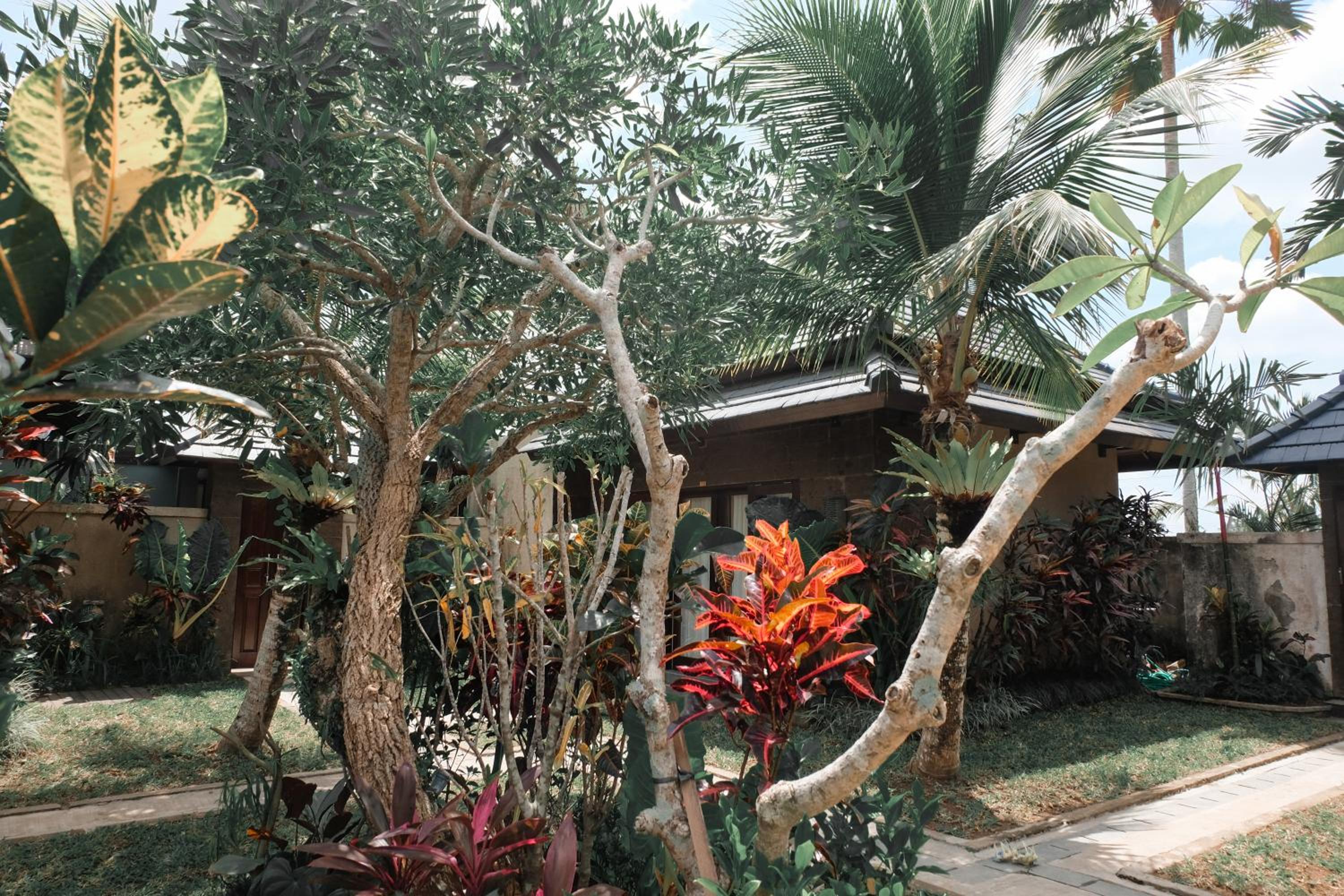 Three-Bedroom Villa - Photo 11
