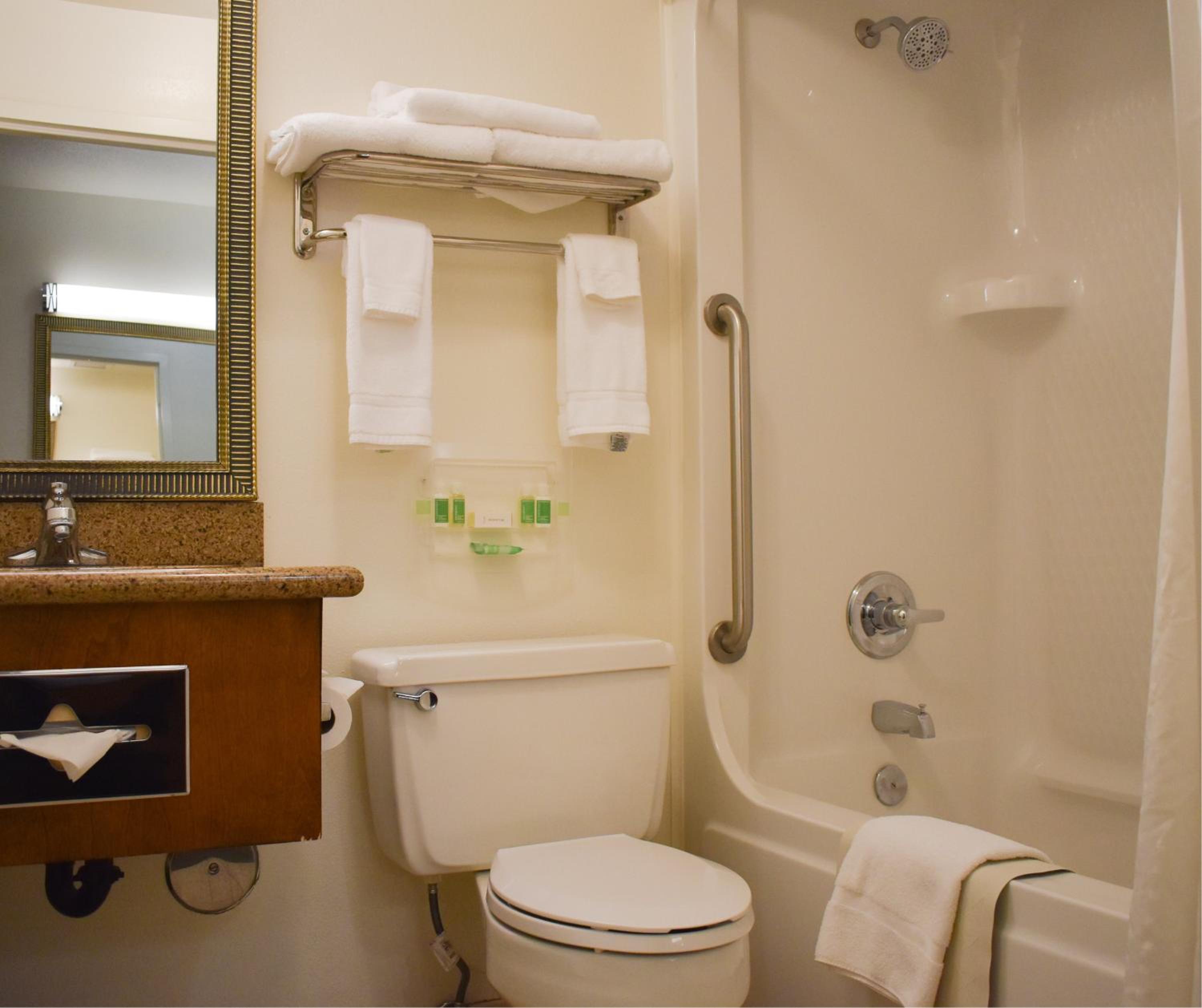 Standard King Room - Photo 12