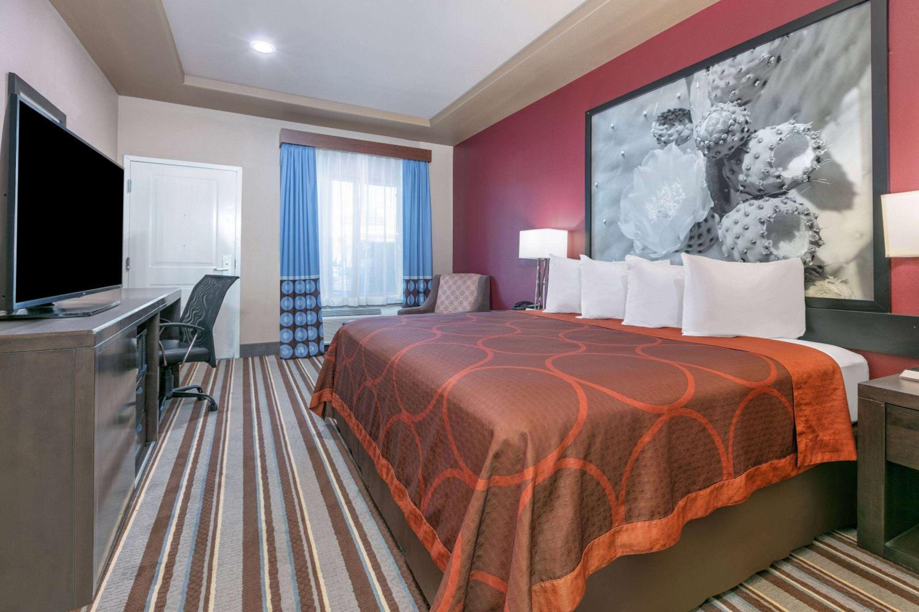 King Room with Mobility Access and Bathtub with Grab Bars, Non-Smoking photo 1