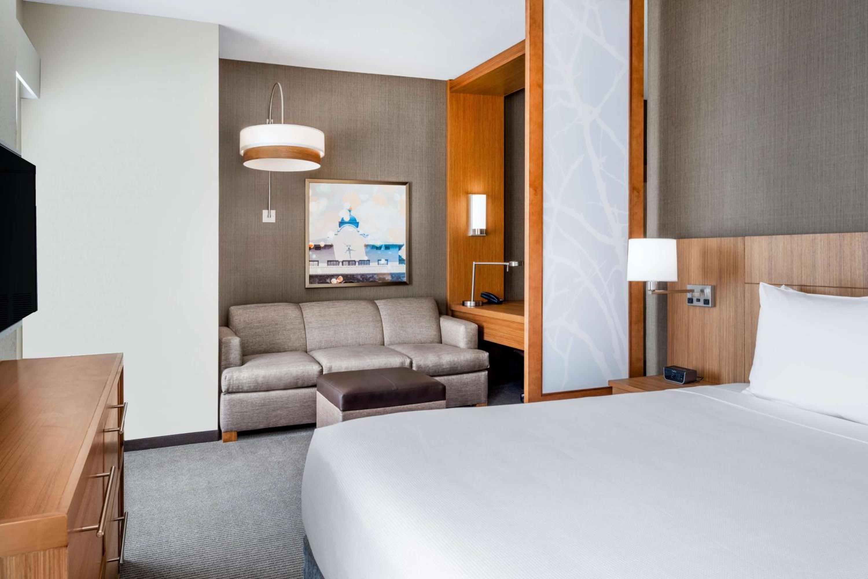 Specialty King Room with Sofa Bed - Photo 4