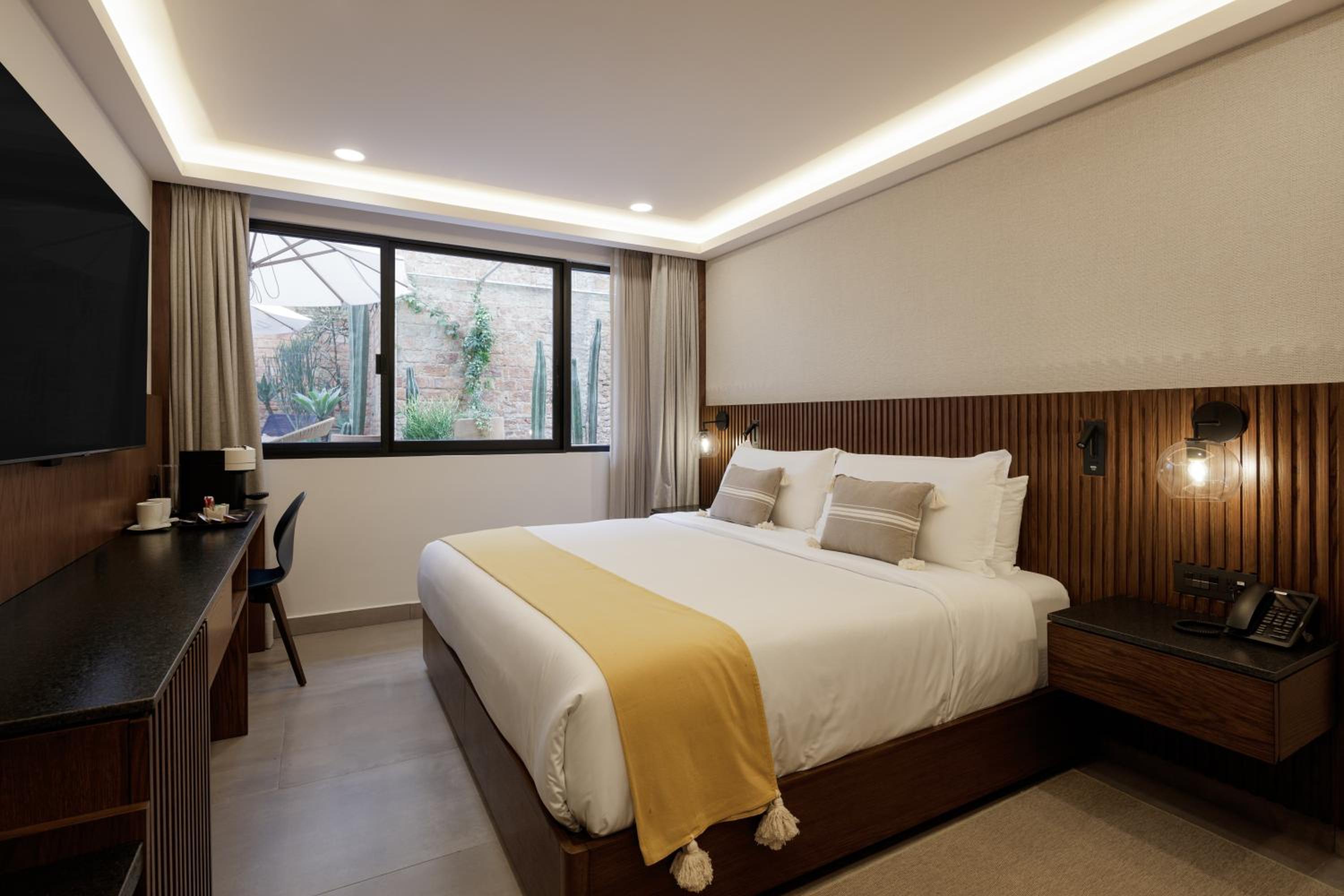 Deluxe Suite - Photo 1