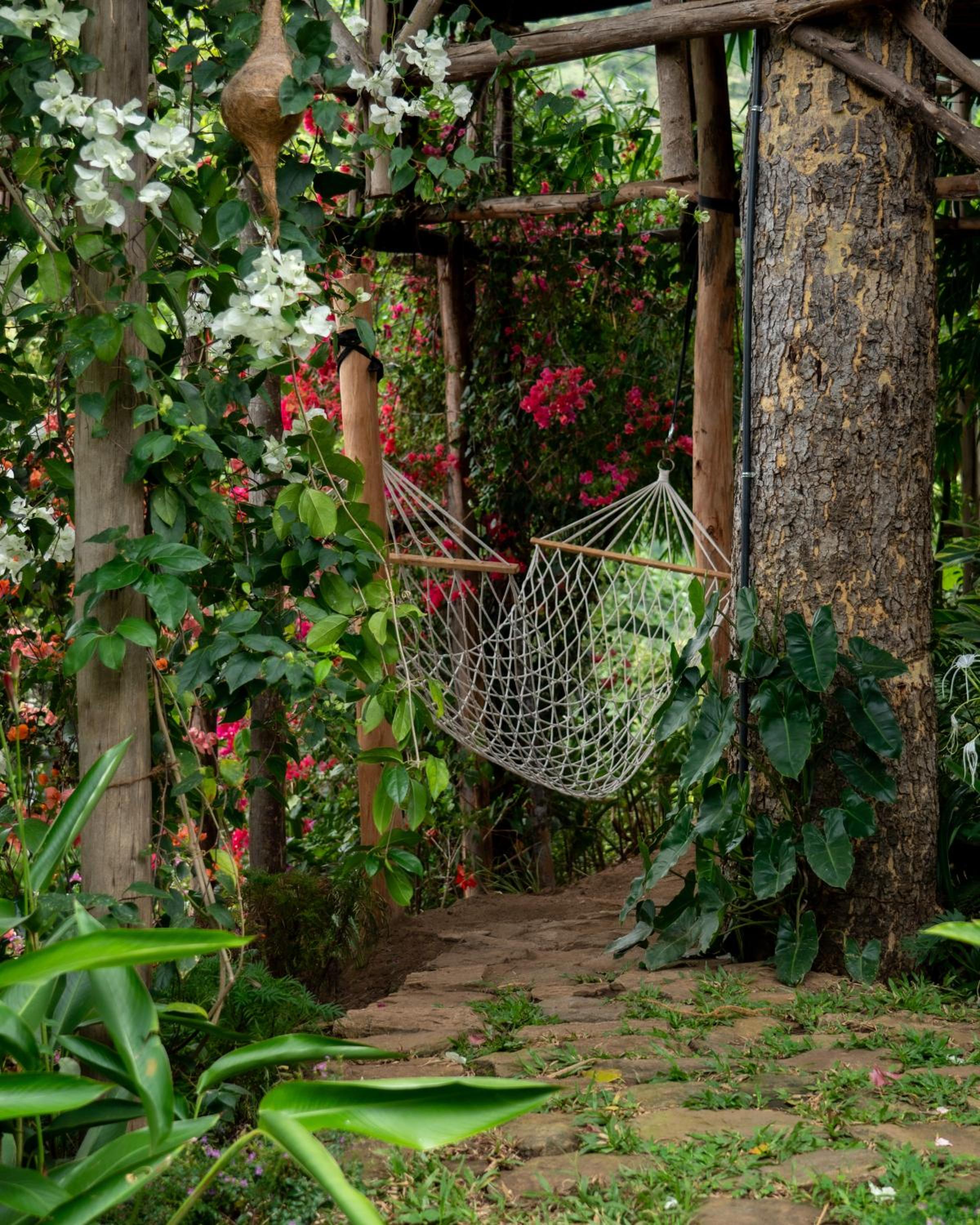 Treehouse for Adults Only  - Photo 22