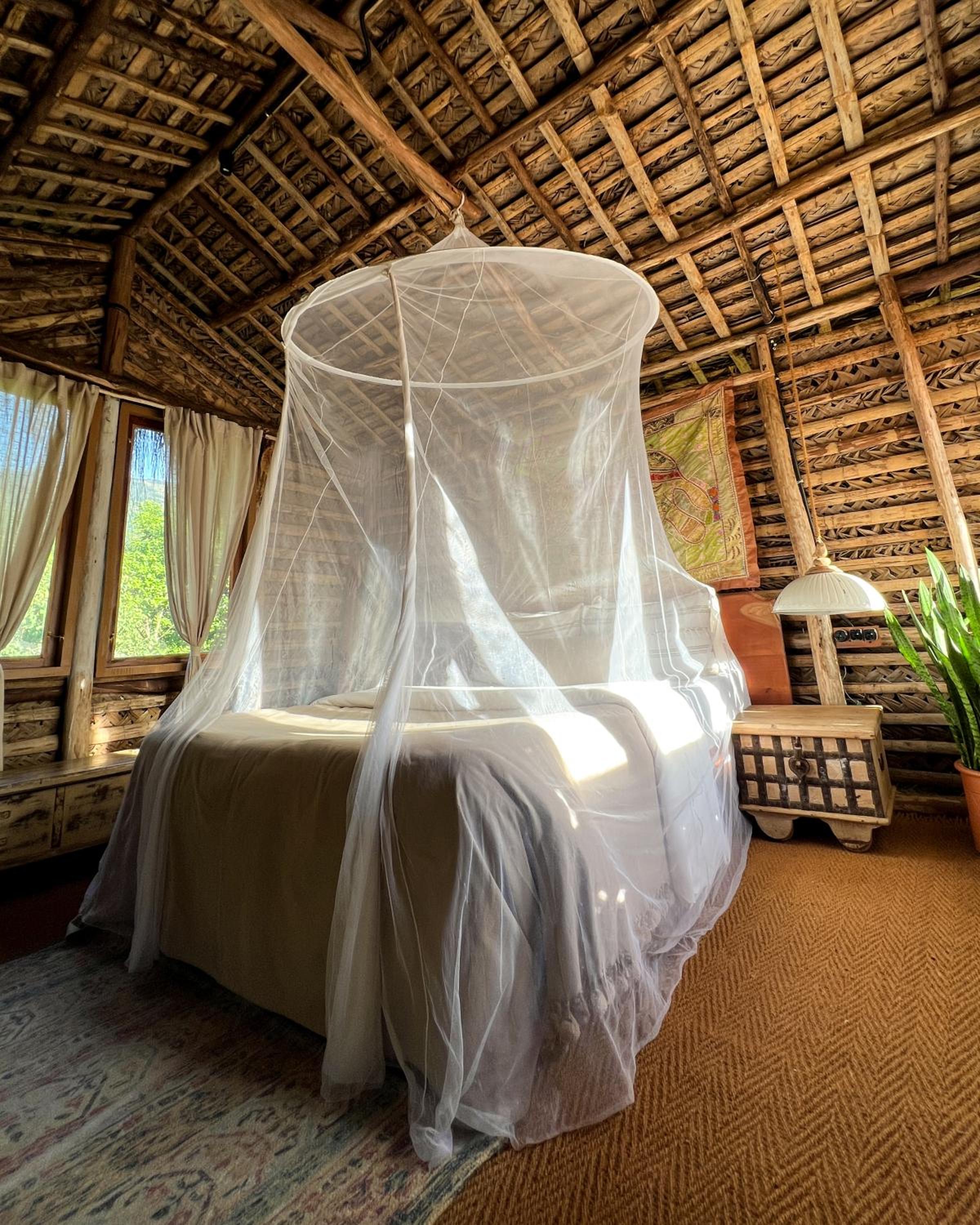 Treehouse for Adults Only  - Photo 1