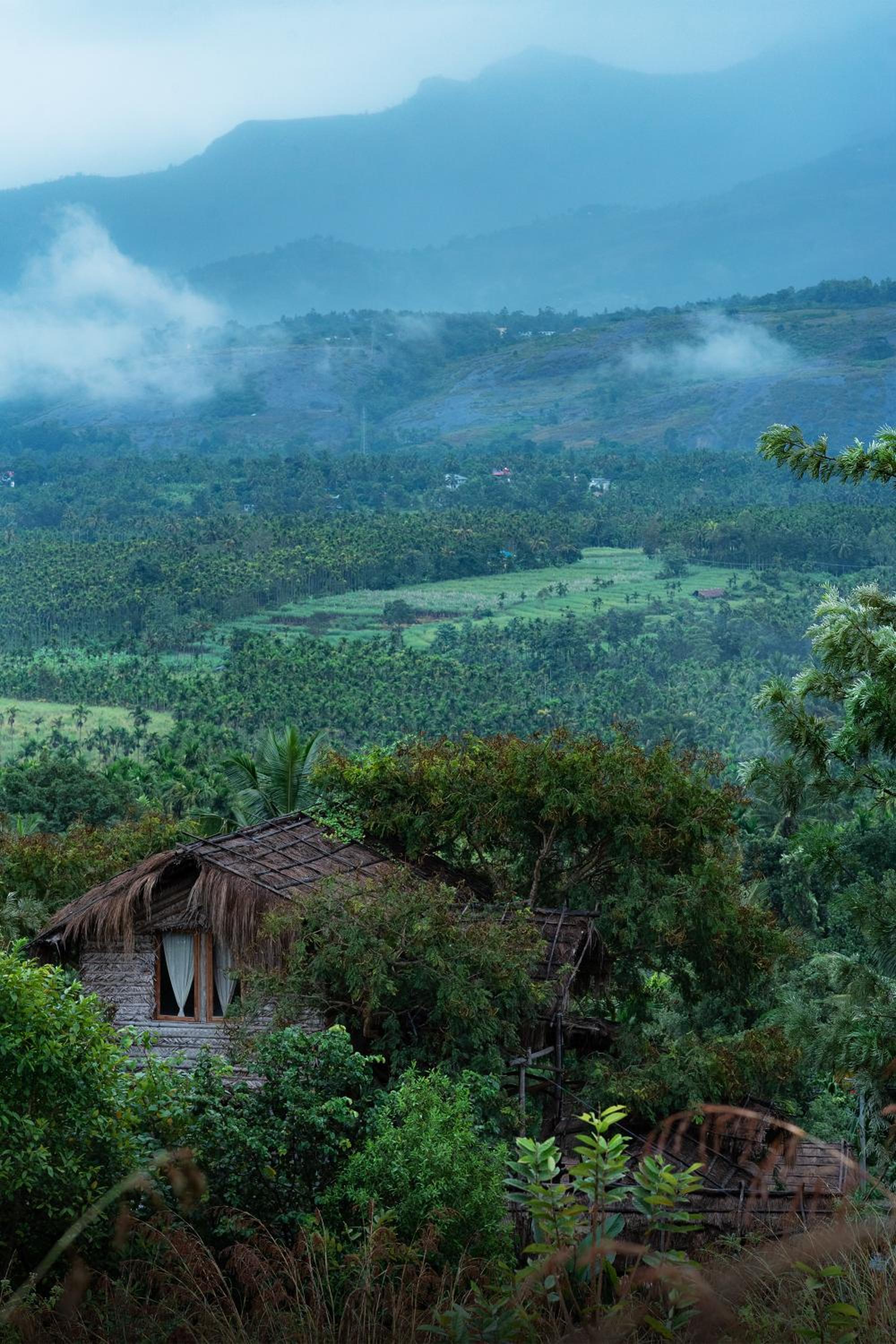 Treehouse for Adults Only  - Photo 17