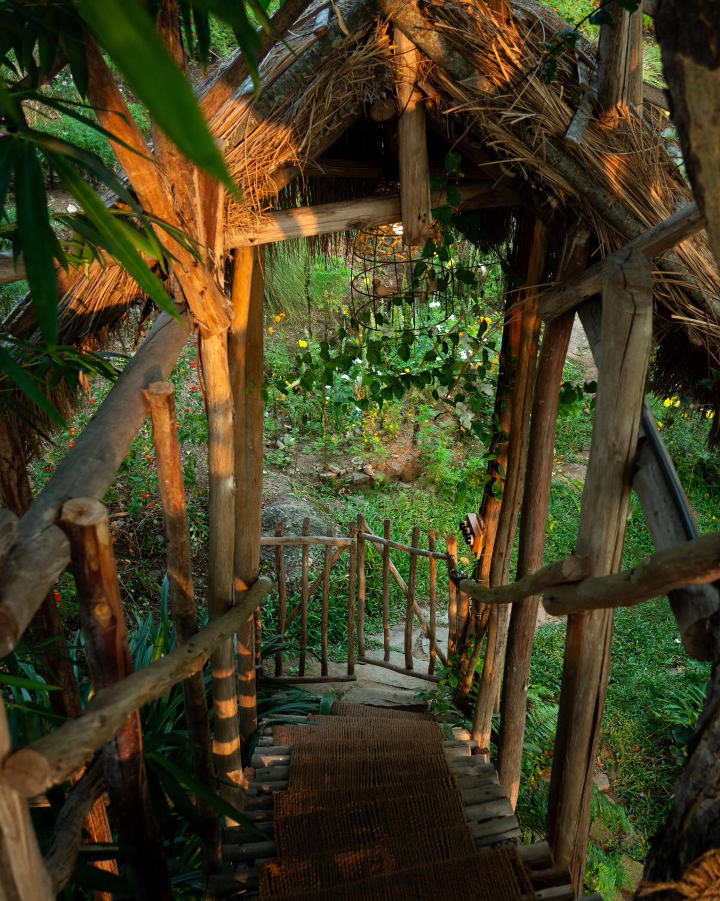 Treehouse for Adults Only  - Photo 14