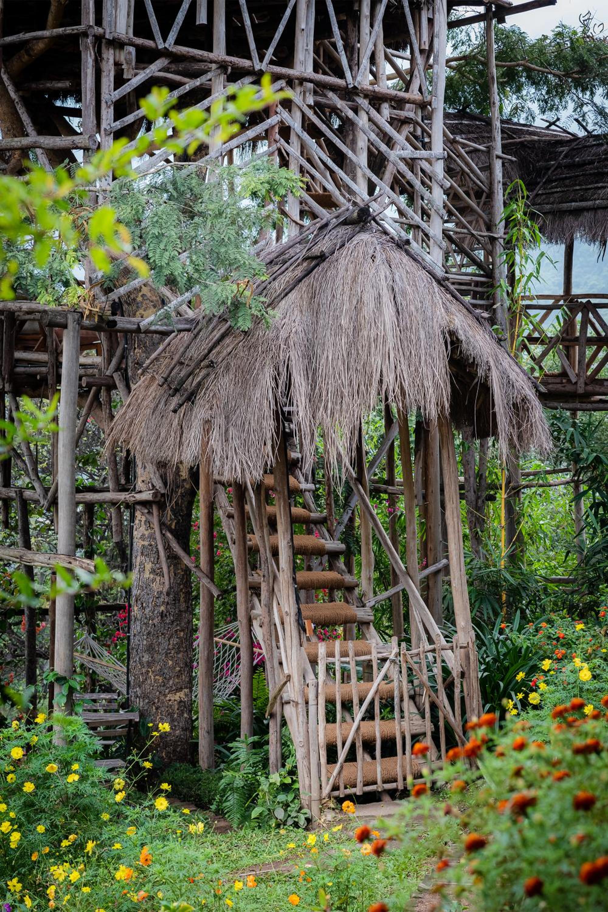 Treehouse for Adults Only  - Photo 13