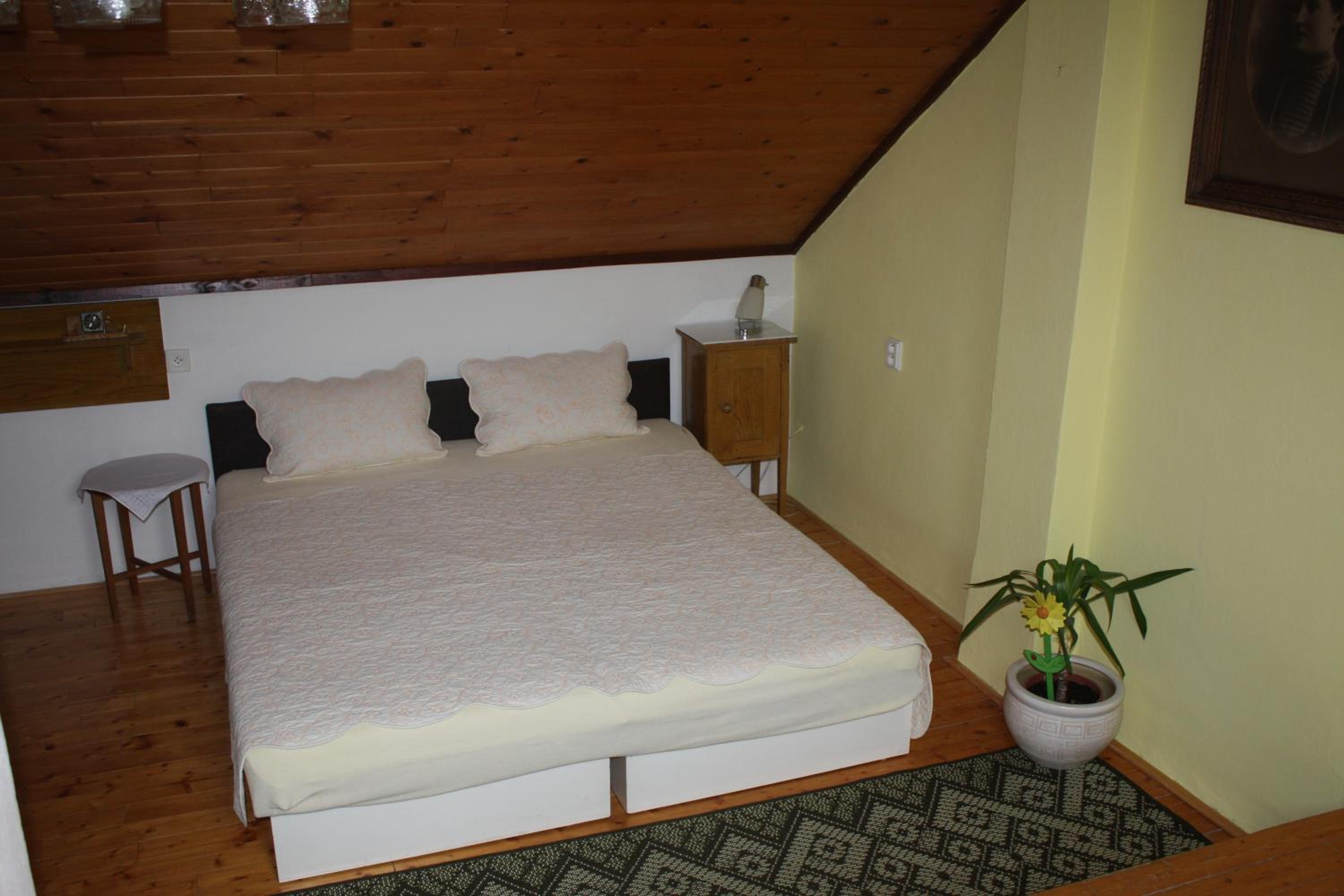 Apartment with Terrace photo 2