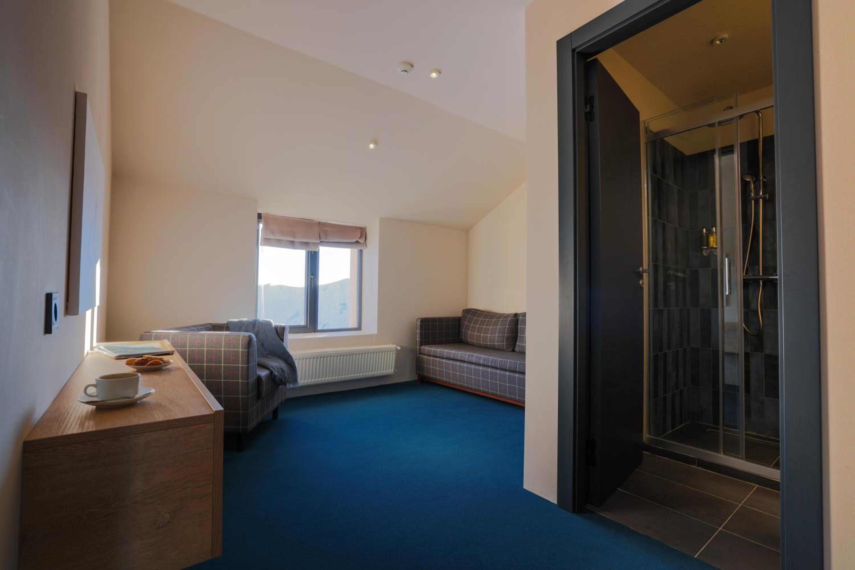Standard Family Room - Photo 6