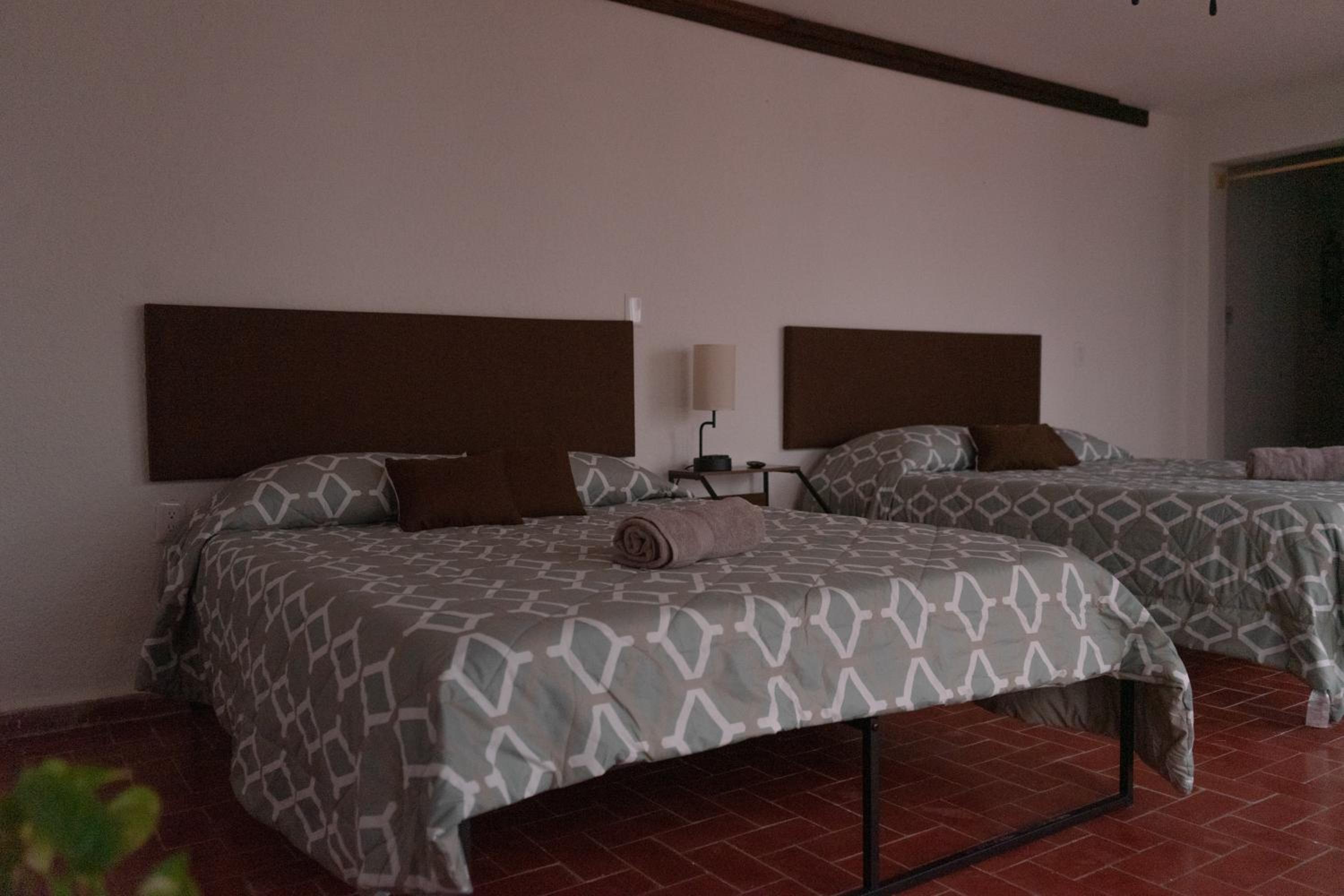Twin Room - Disability Access photo 1