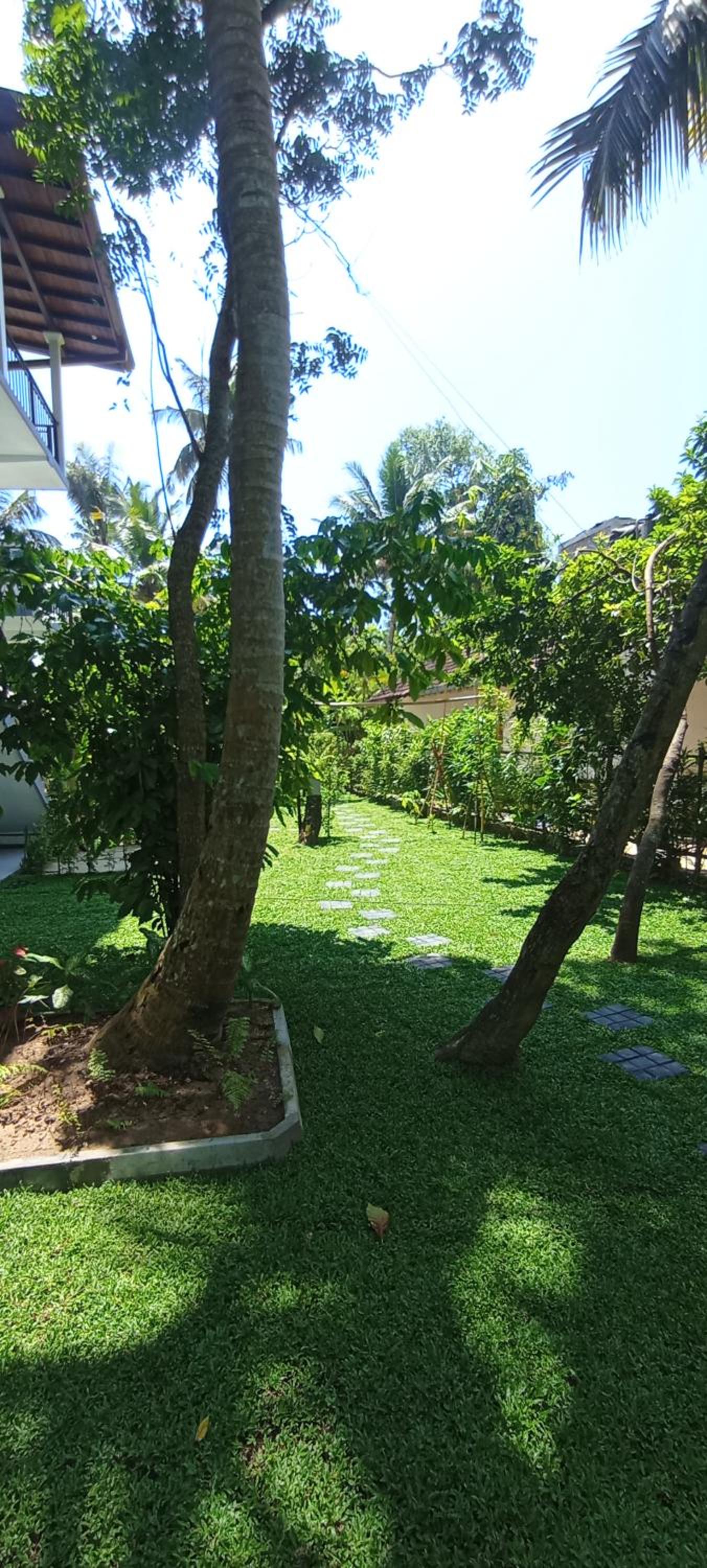 King Room with Garden View photo 3