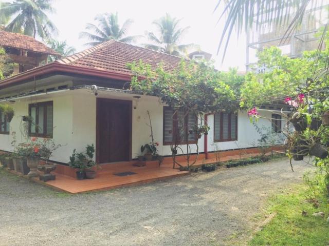 One-Bedroom House photo 2