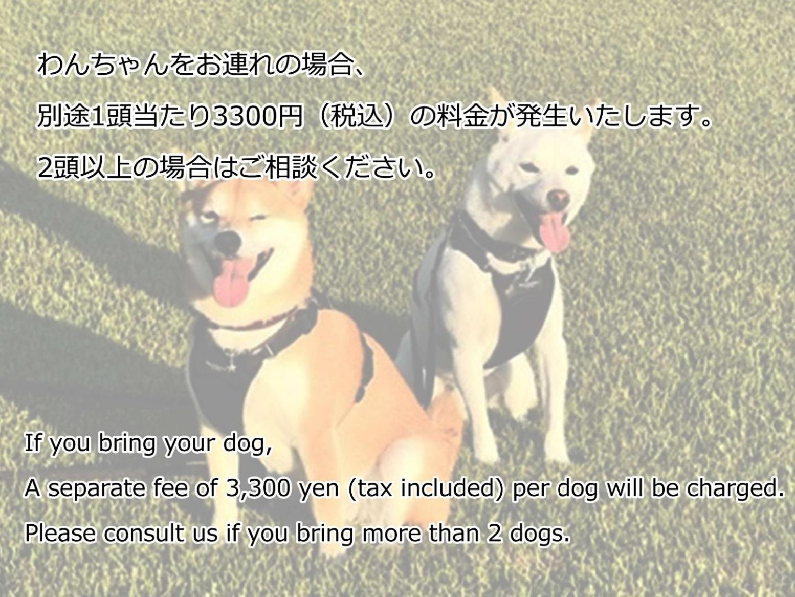 Twin Room - Pets Allowed - Photo 3