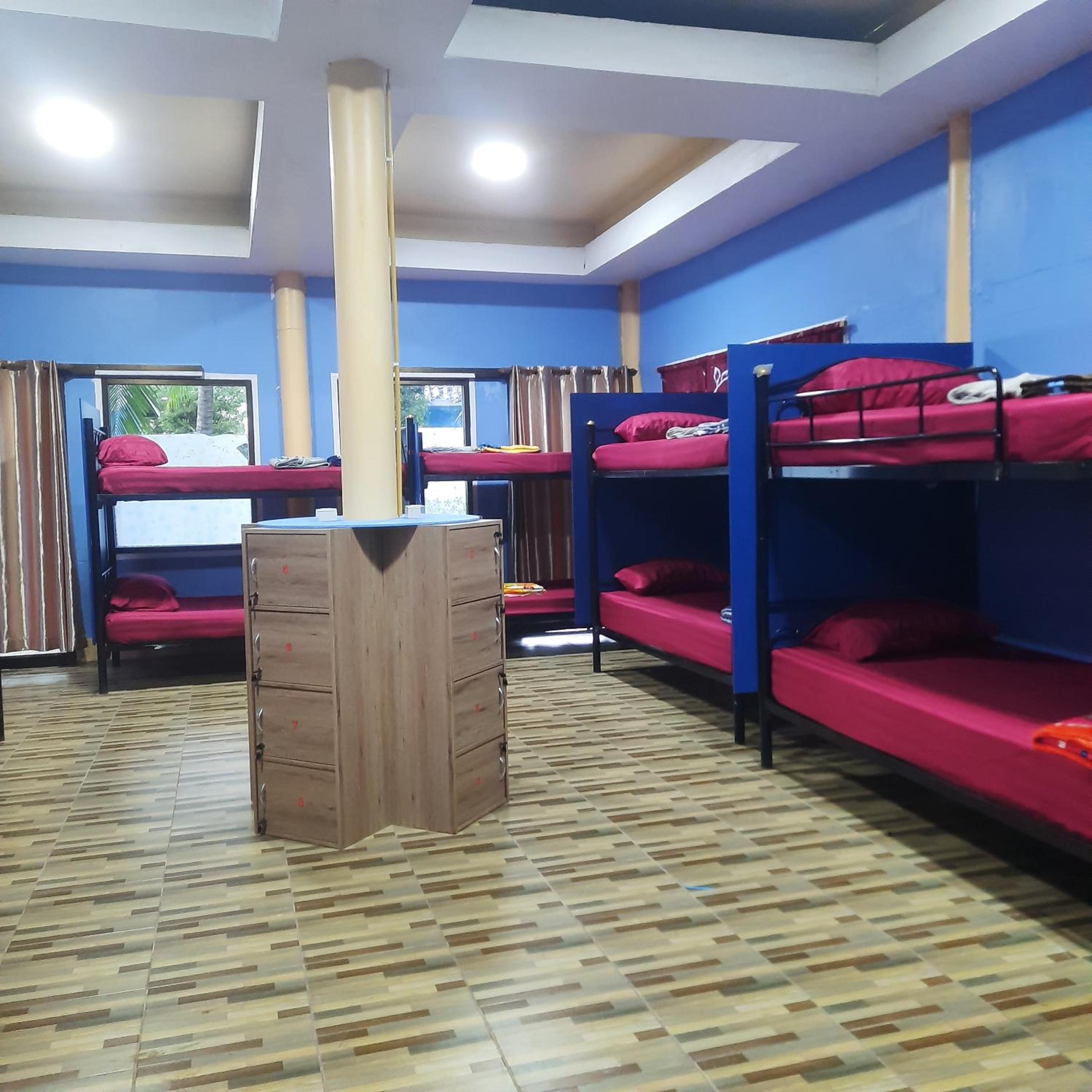 Bunk Bed in Mixed Dormitory Room photo 2