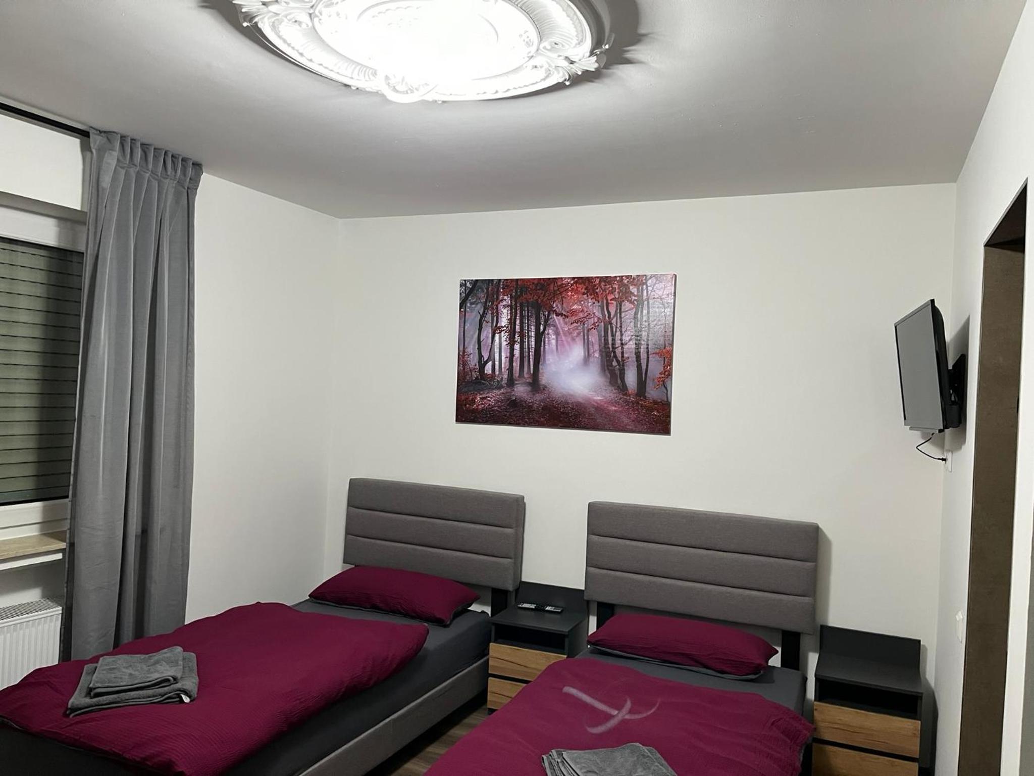 Deluxe Double Or Twin Room photo 1