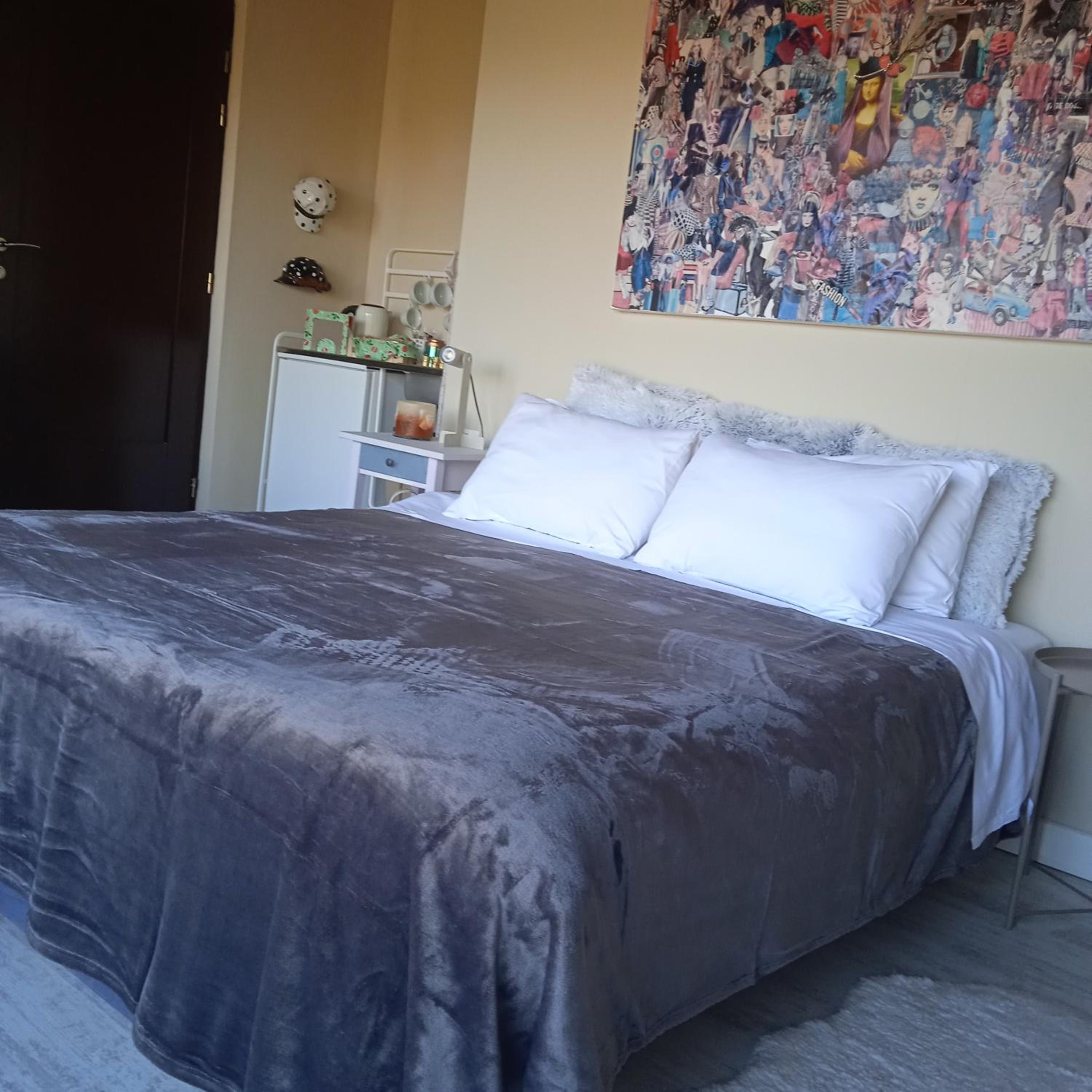 Standard Double Room With Fan photo 1