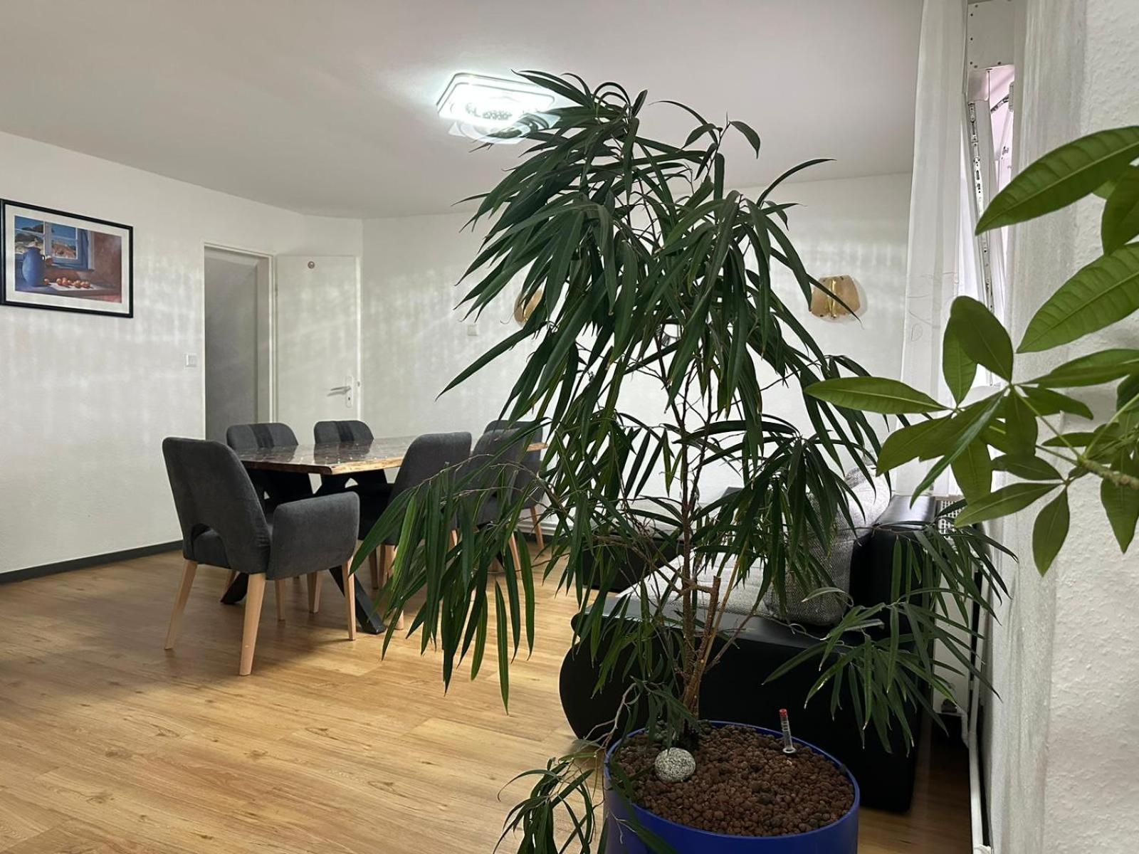 Four-Bedroom House photo 2