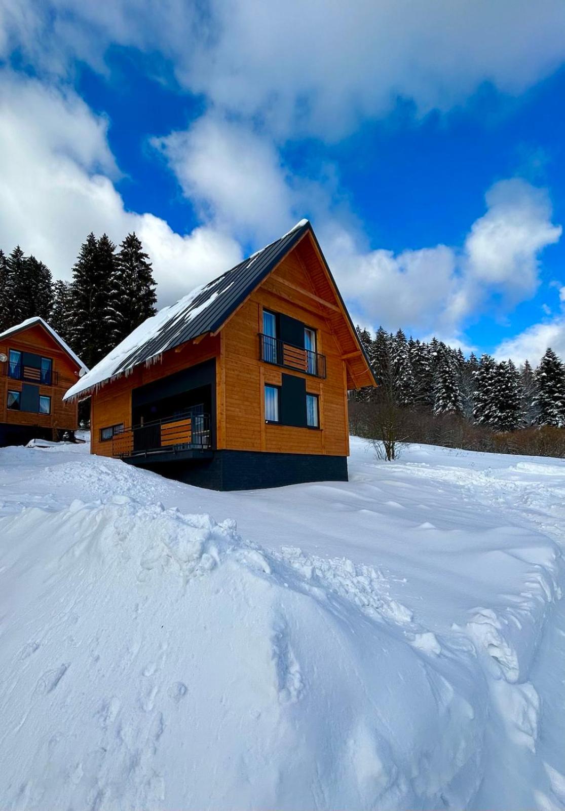 Three-Bedroom Chalet photo 2