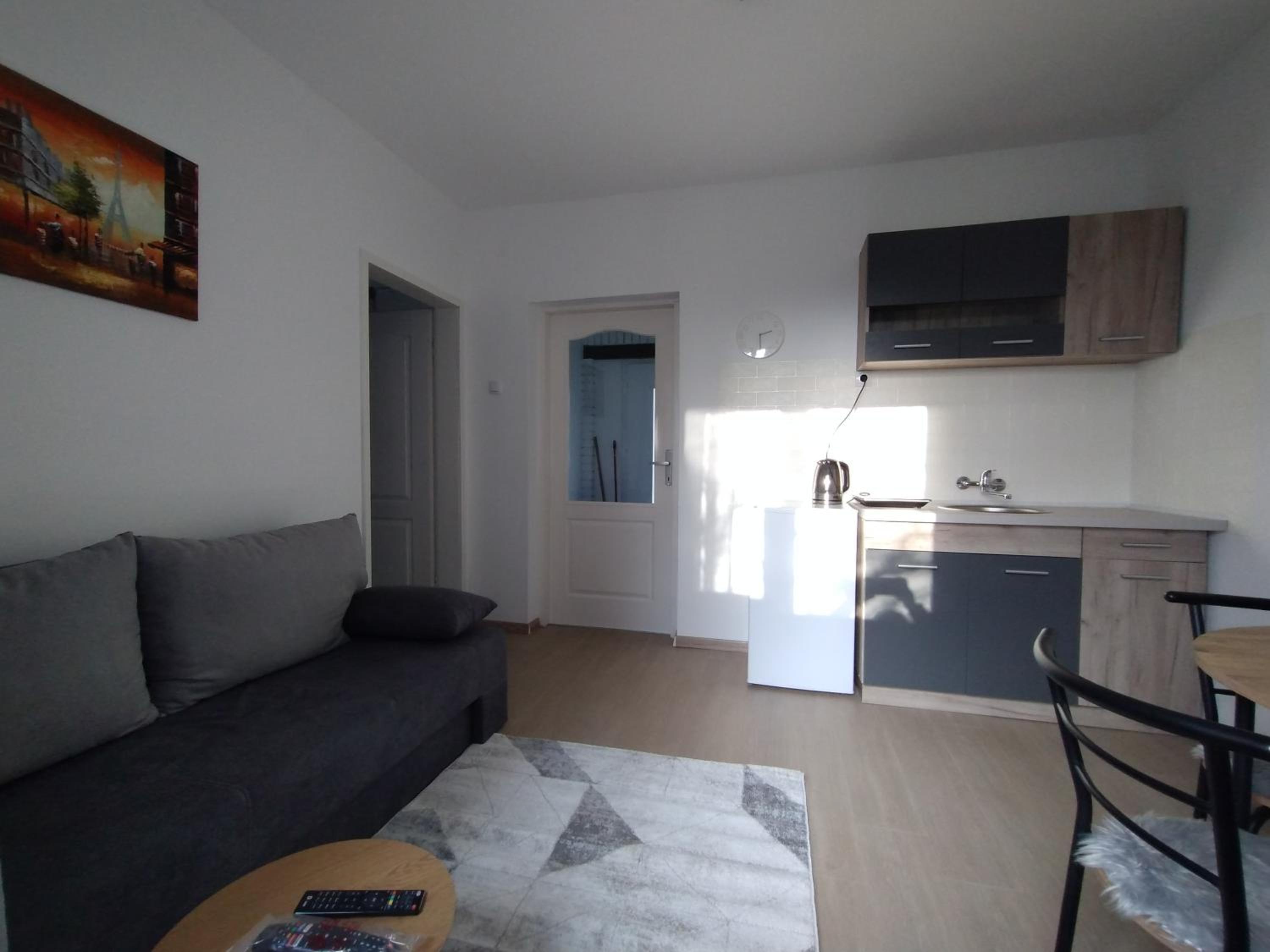 One-Bedroom Apartment photo 3