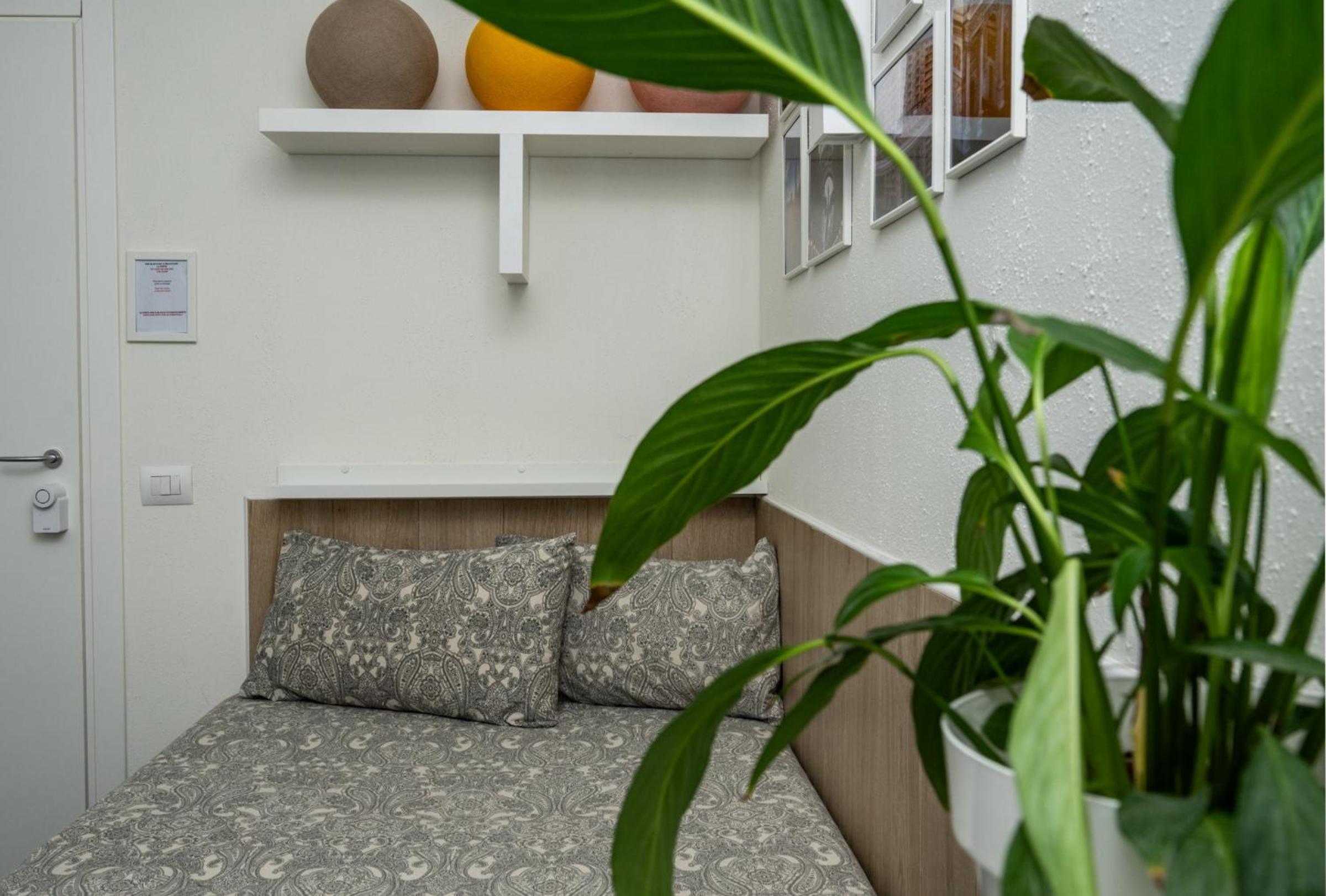 Single Room with Private Bathroom