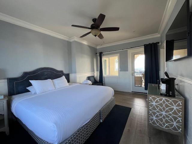 Ocean View, King bed, Shared Balcony photo 1