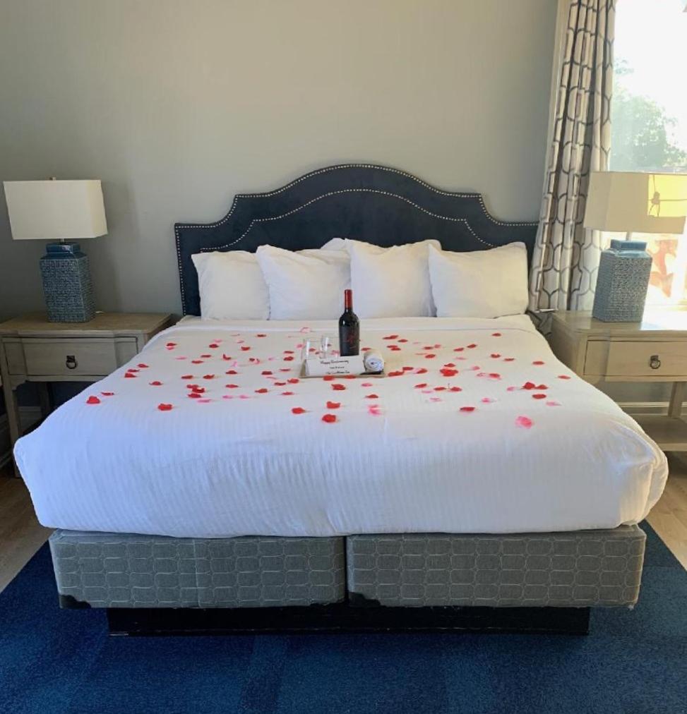 Ocean View, King bed, Shared Balcony photo 3