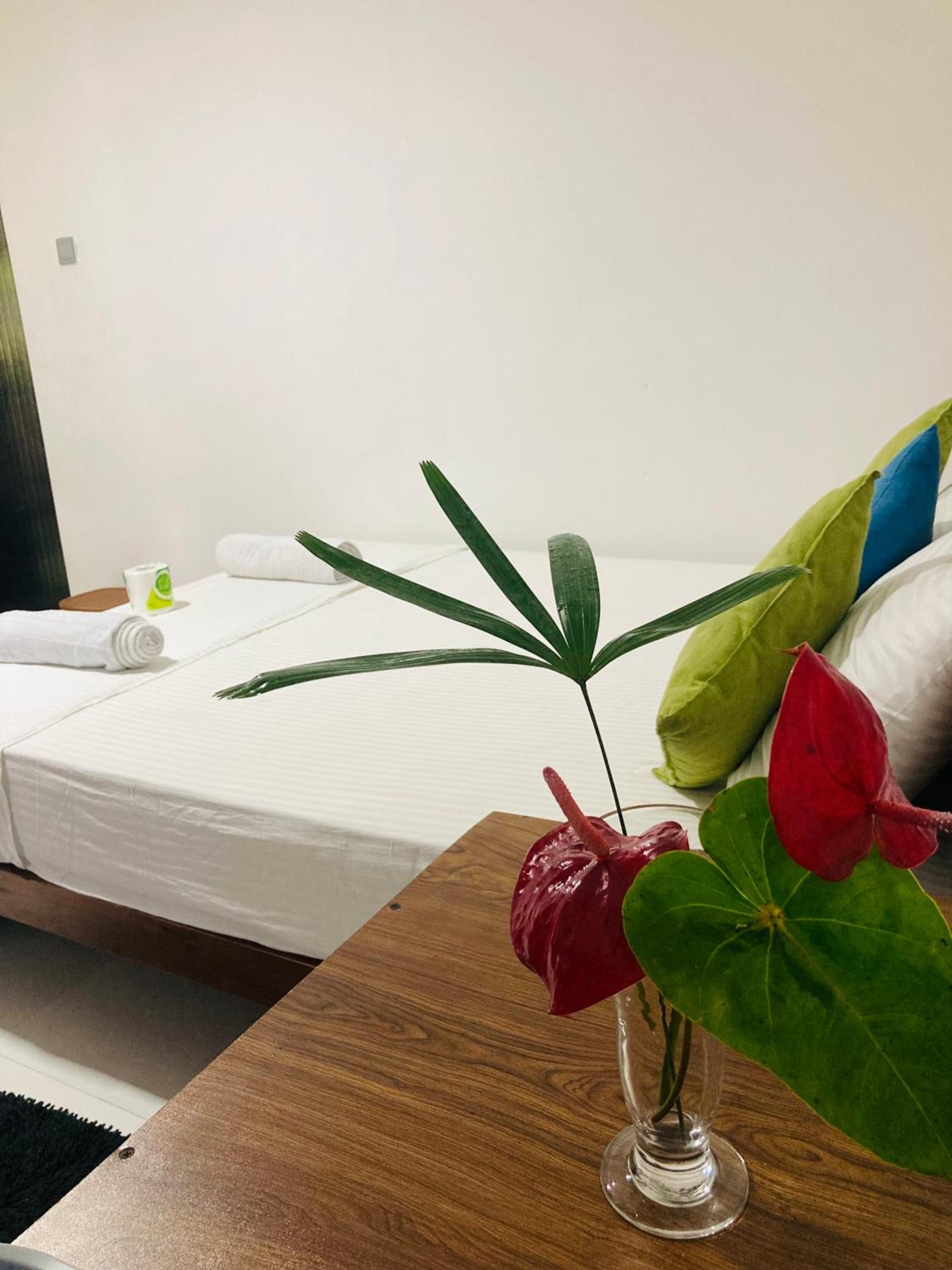 Double Room with Garden View photo 2