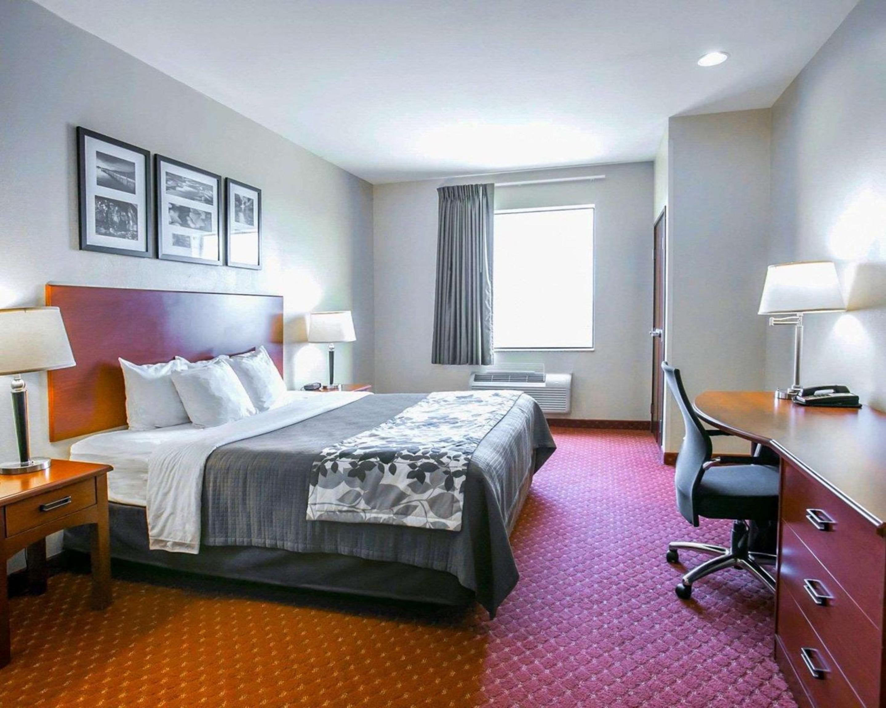 King Suite with Sofa Bed - Non-Smoking
