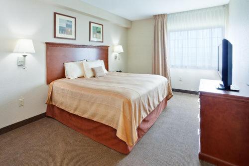 Studio Queen Suite - Photo 2