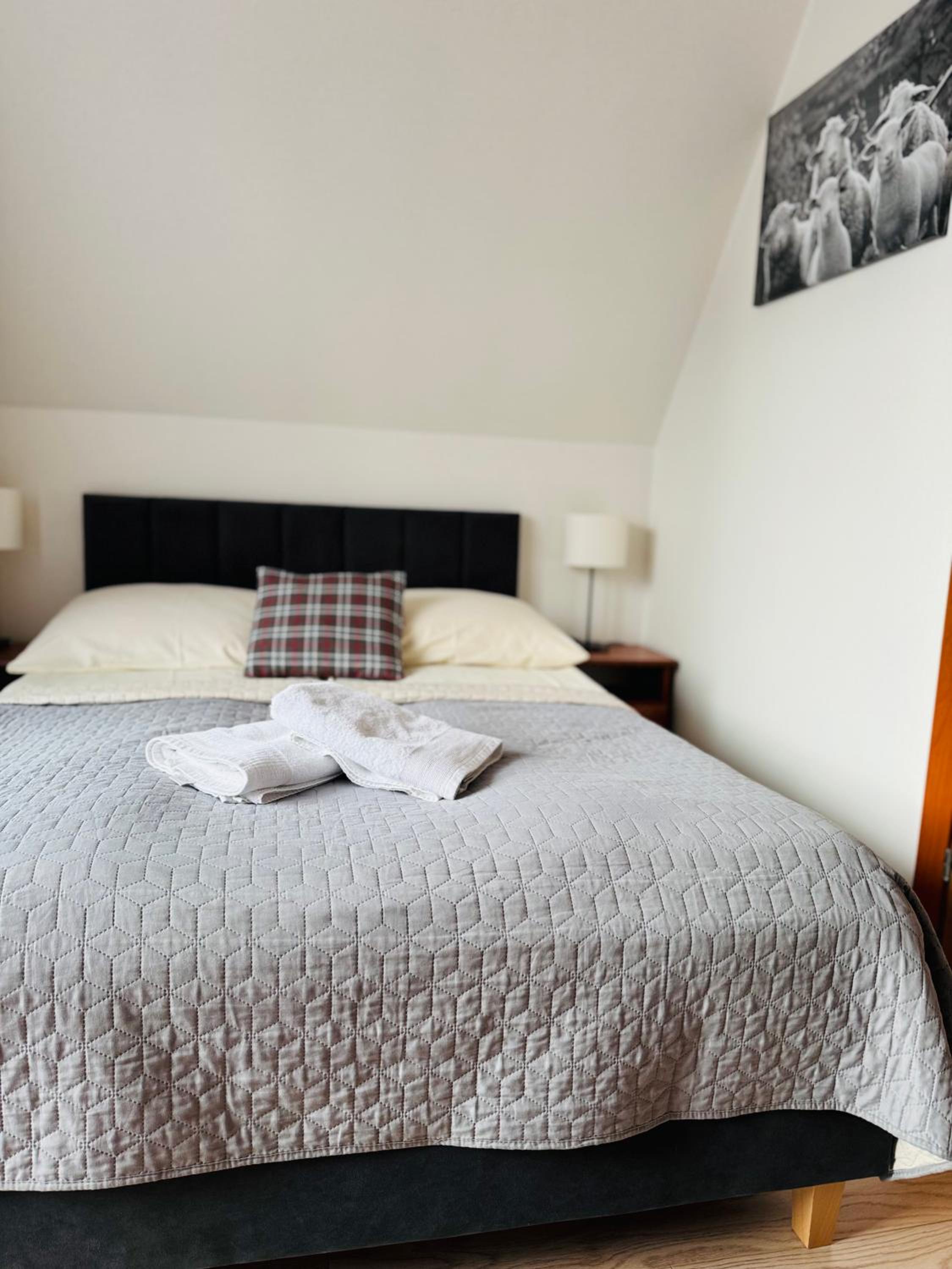 Double Room photo 2