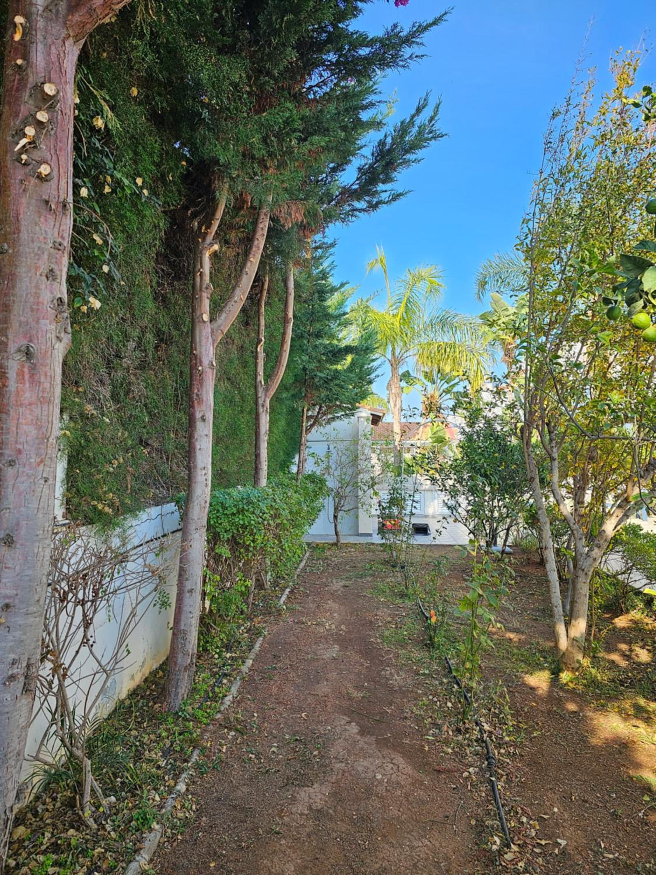 Superior Villa photo 3
