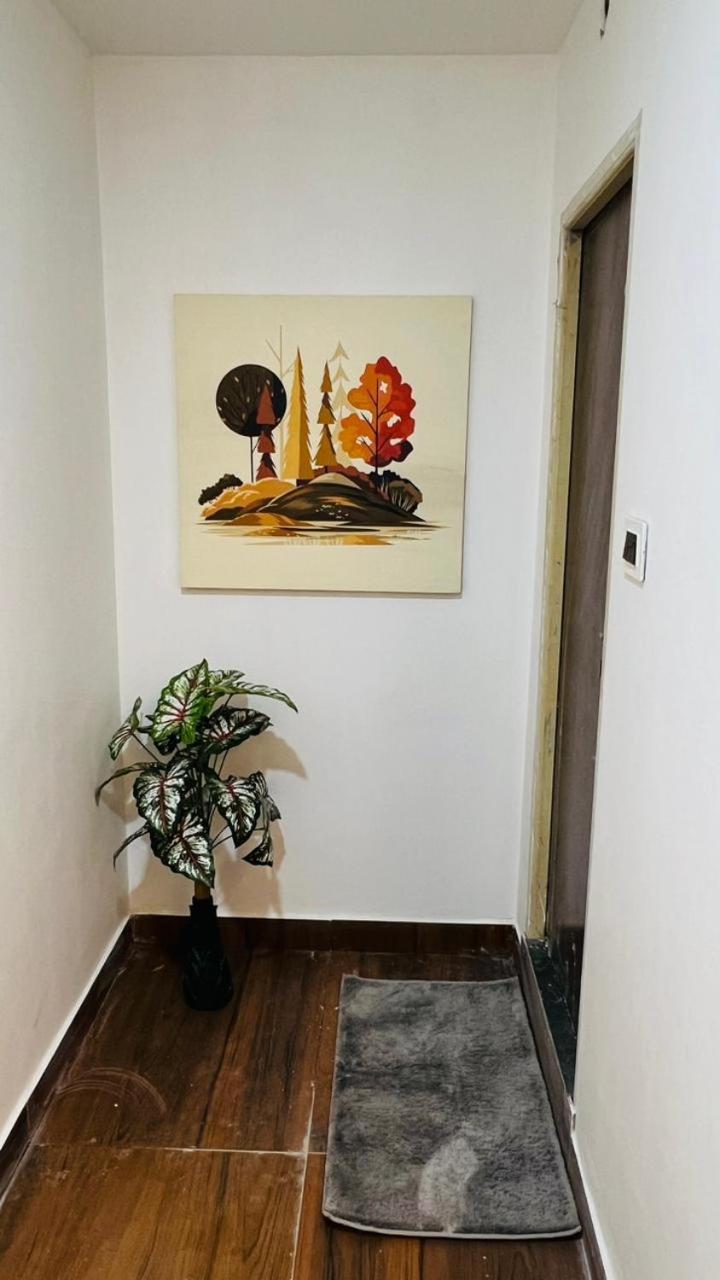 Suite - Photo 7