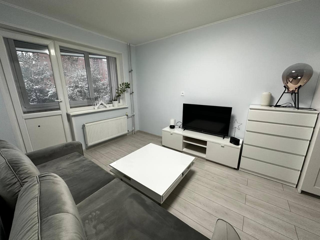 One-Bedroom Apartment photo 3