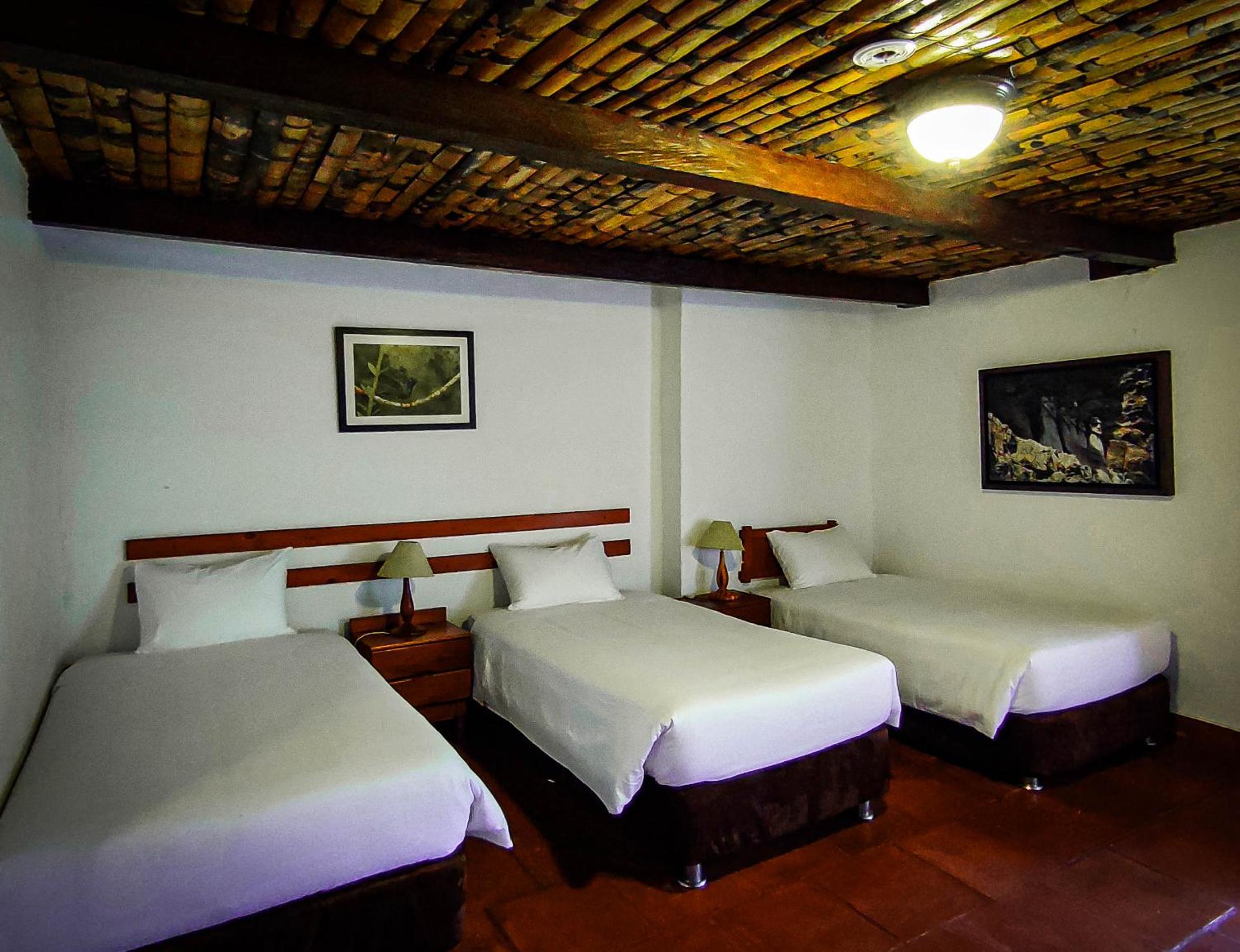 Triple Room photo 1