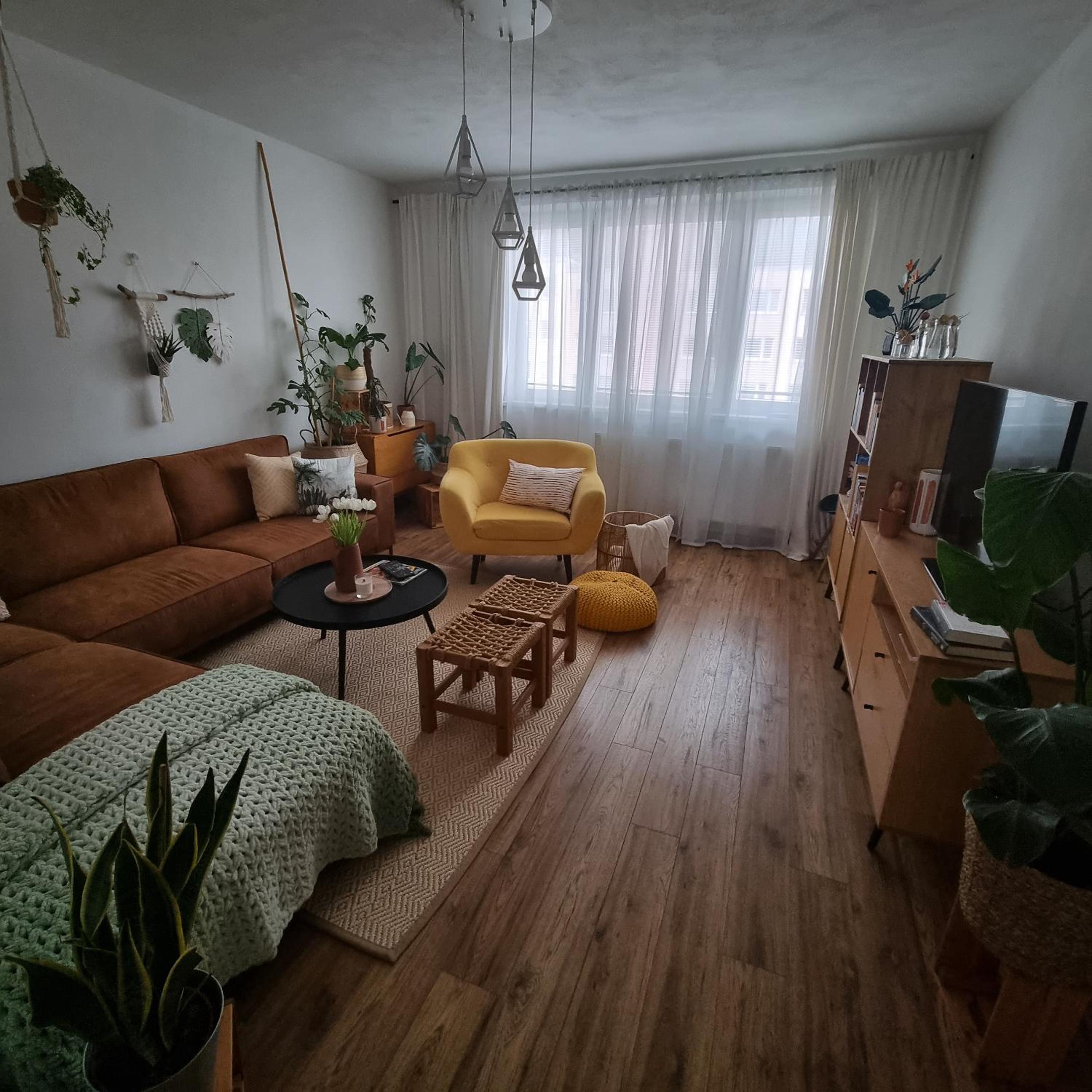 One-Bedroom Apartment photo 3