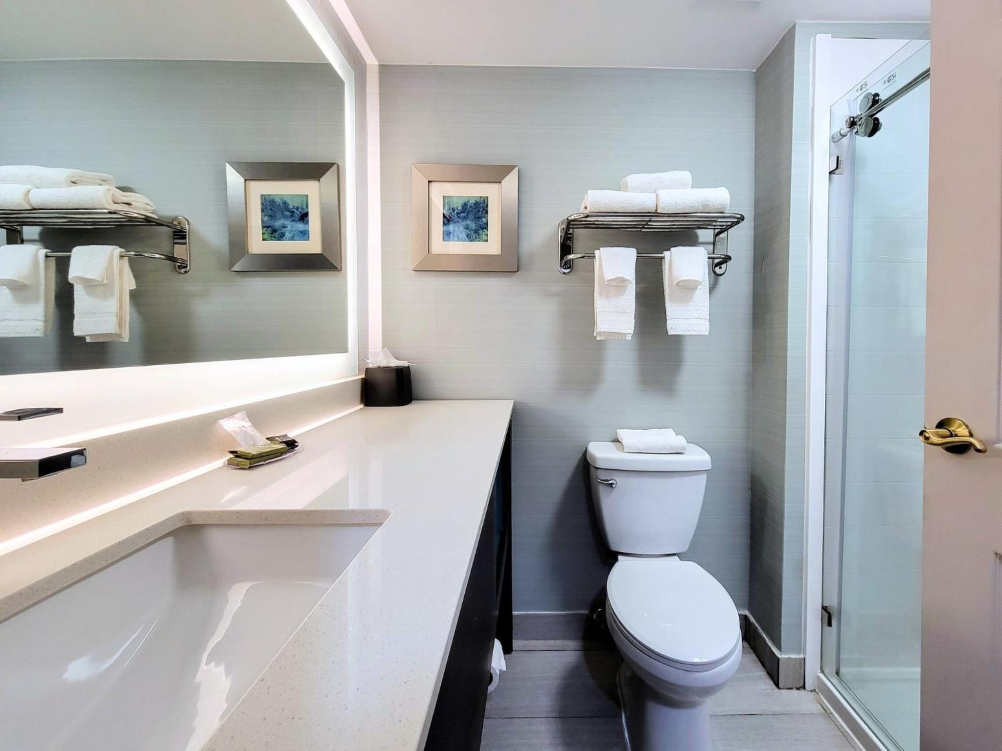 Standard King Room - Photo 6