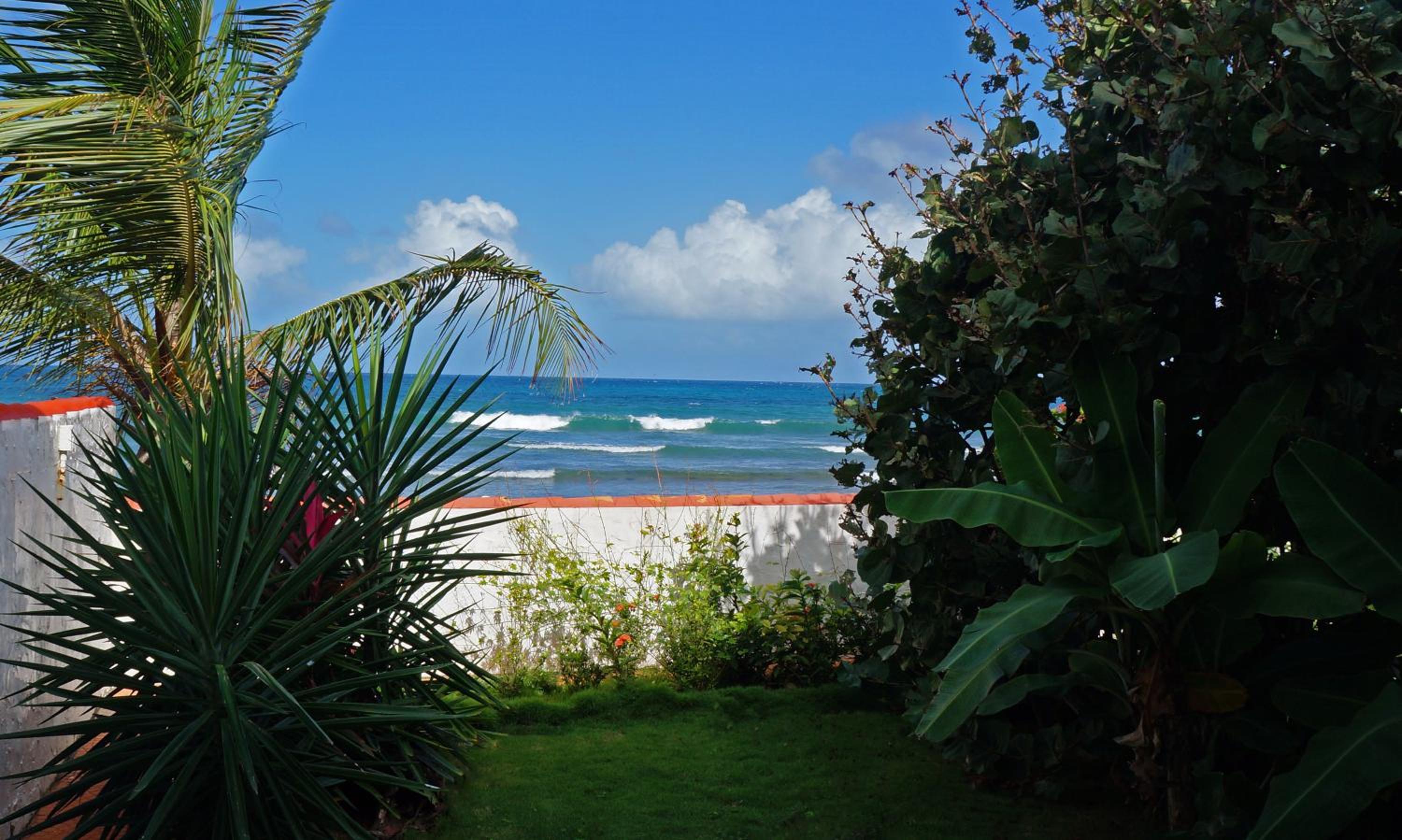 King Room with Sea View photo 1