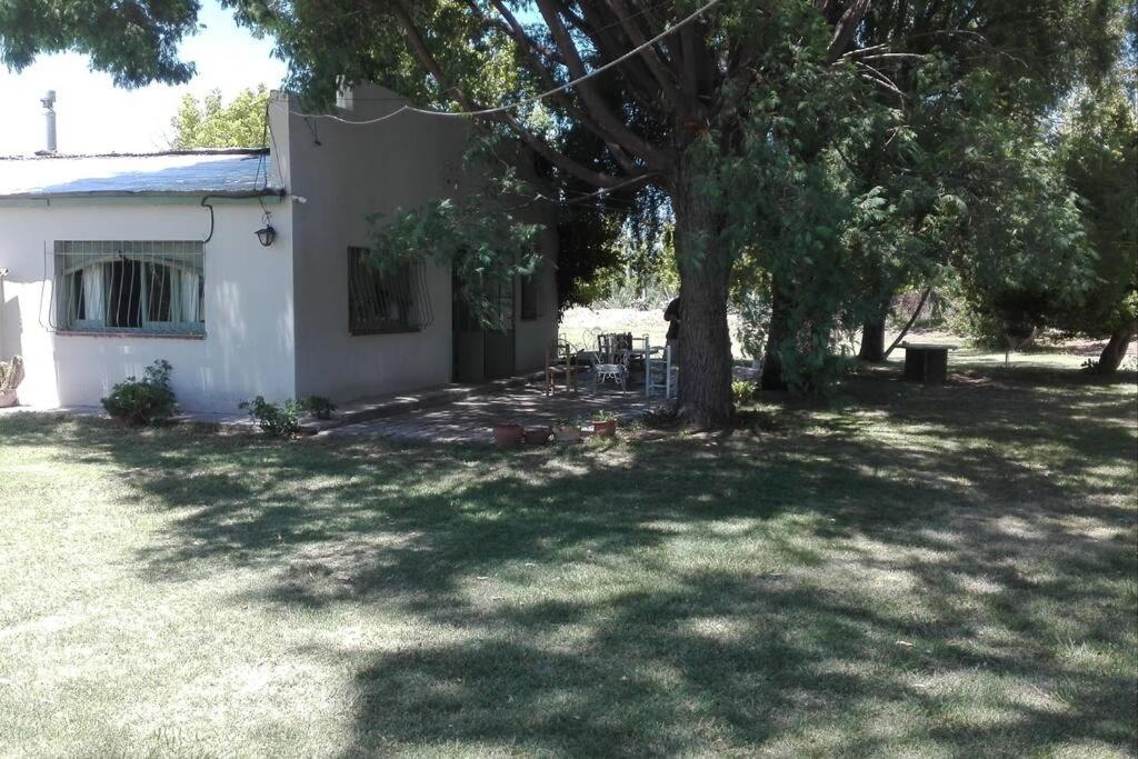Chalet photo 3