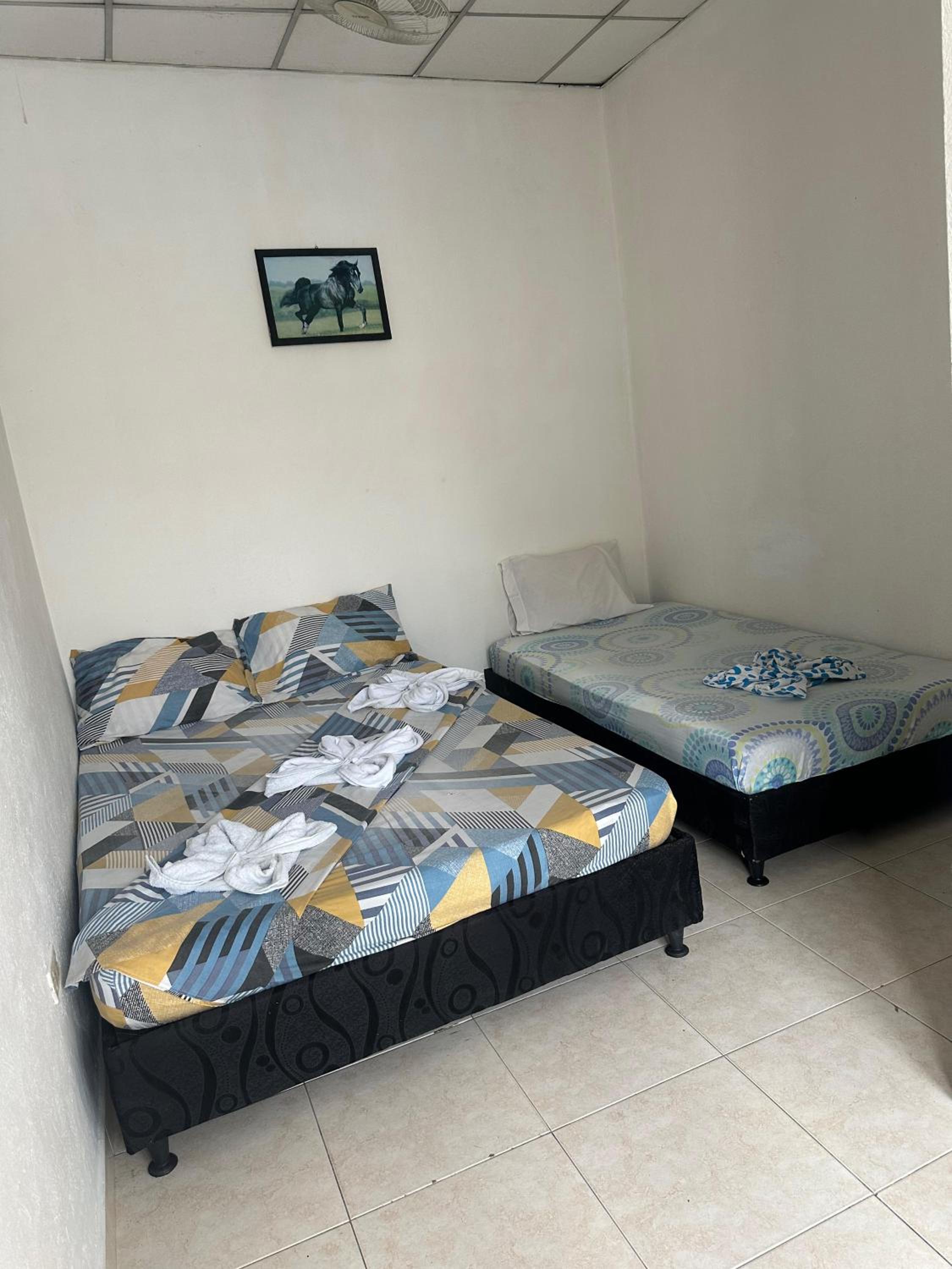 Triple Room photo 1
