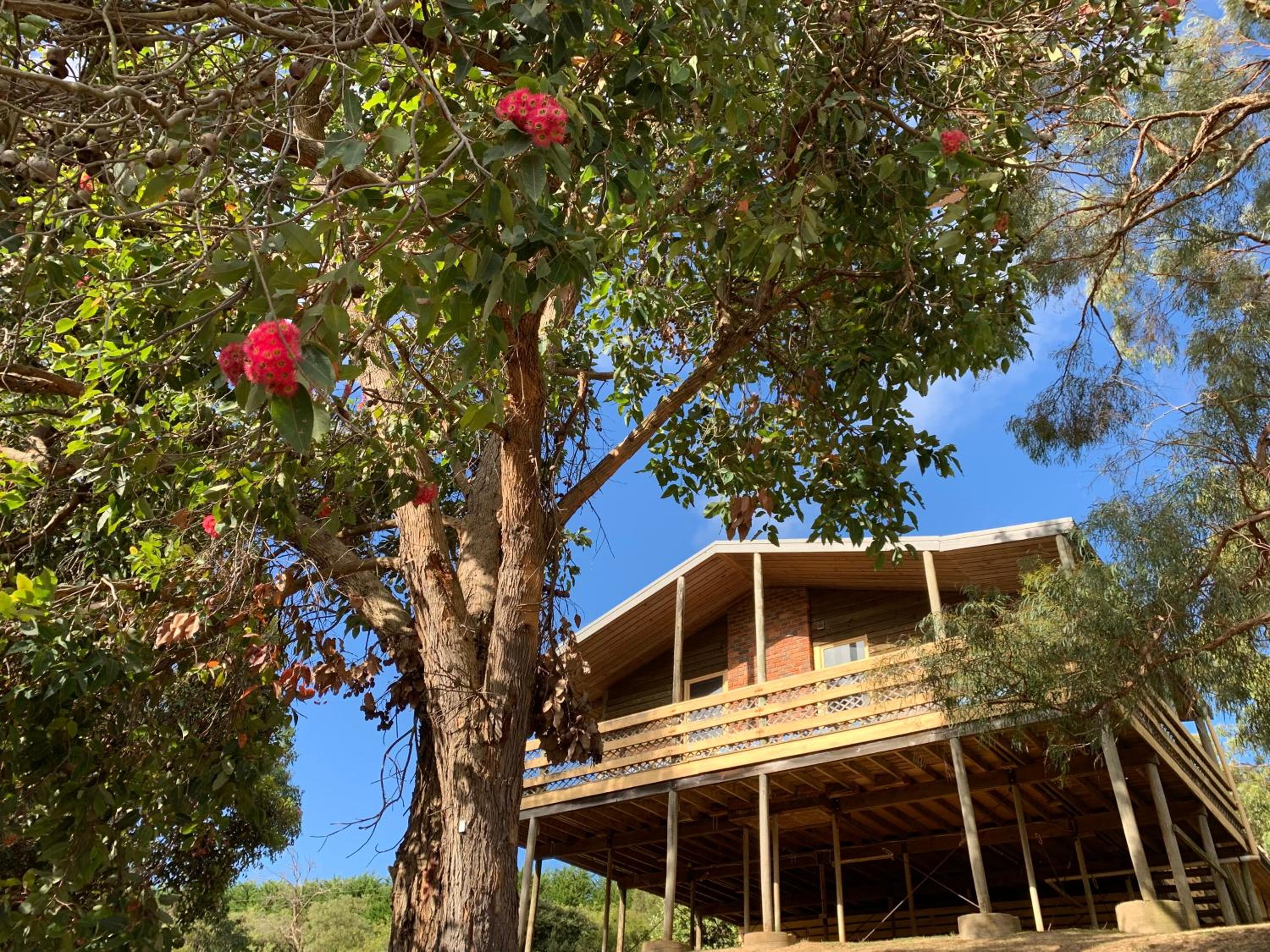 Warrawong Lodge - Photo 10
