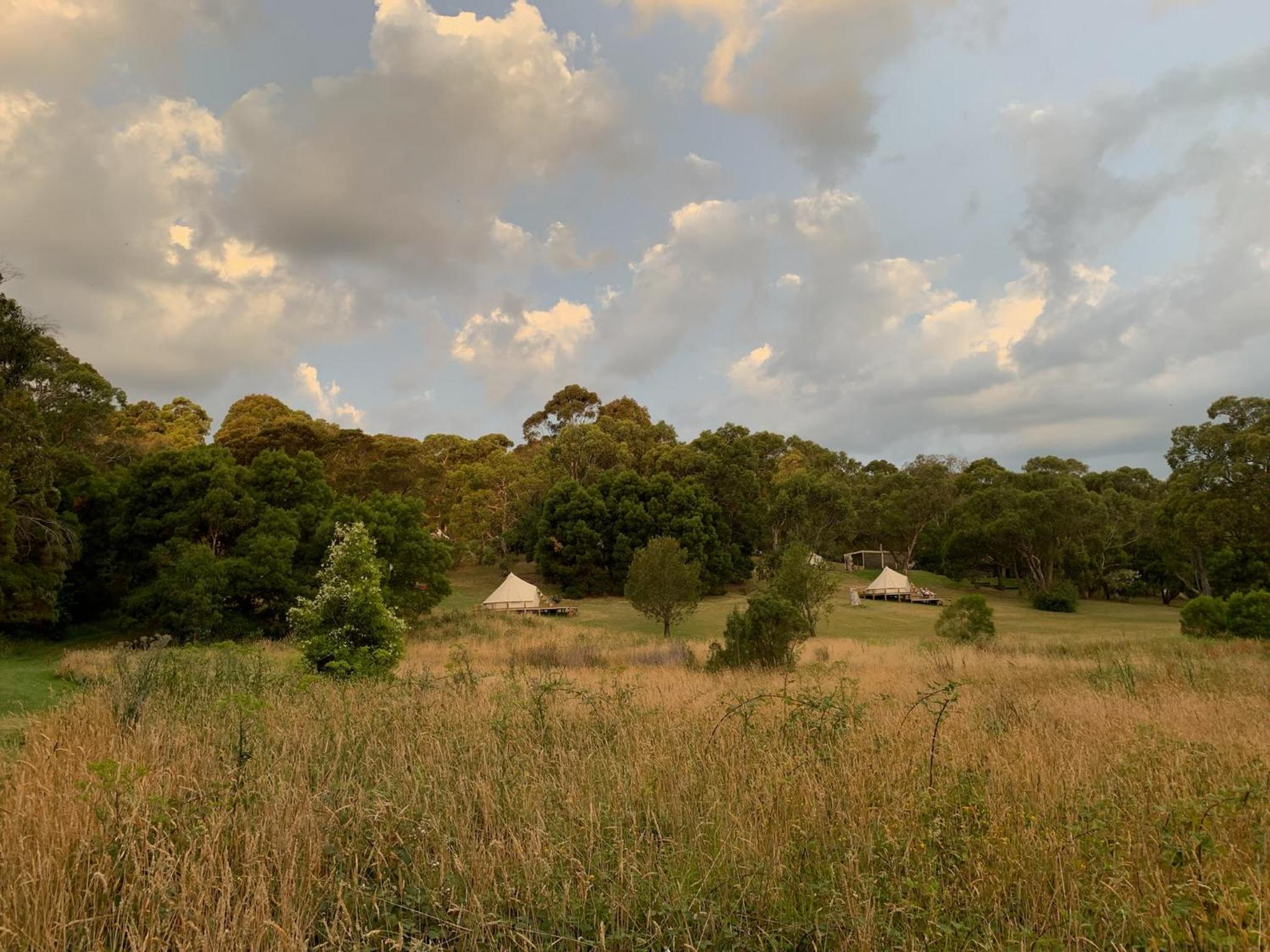 Glamping Tent - Photo 20
