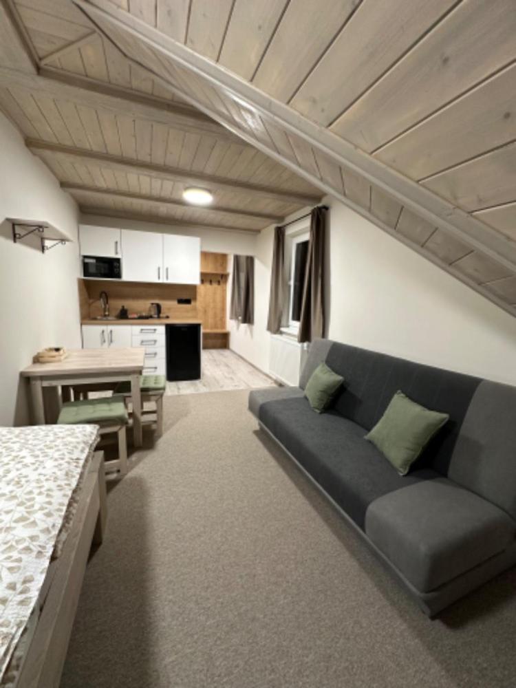 Studio with Sofa Bed