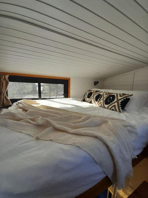 One-Bedroom House photo 1