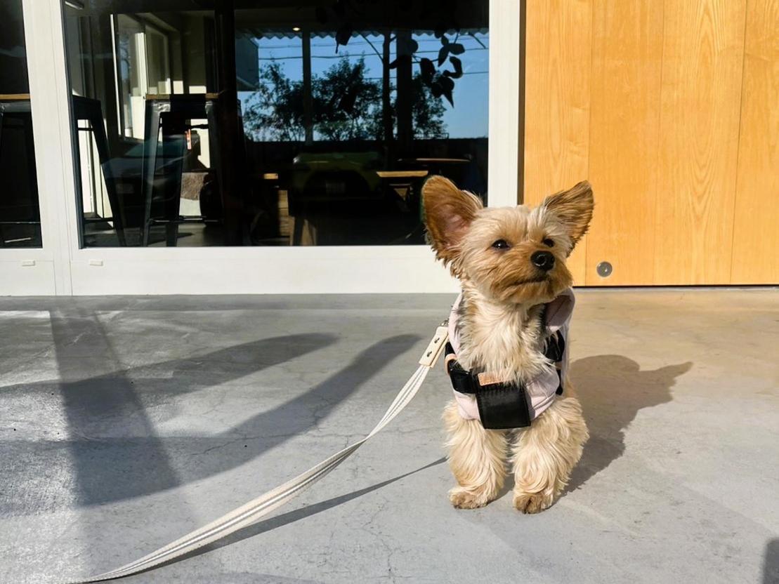 Twin Room-dog ok - Photo 2