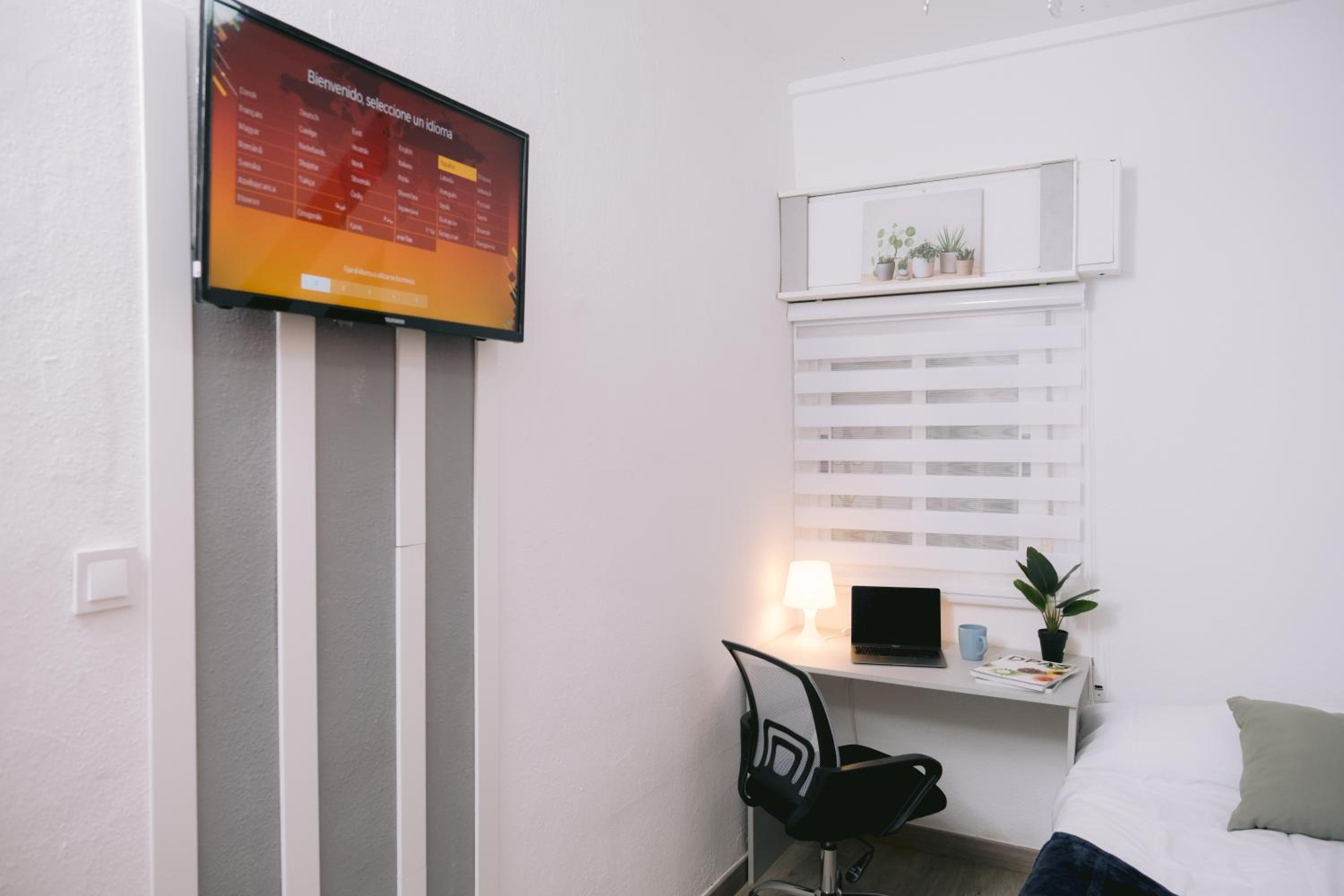 Single Room photo 2