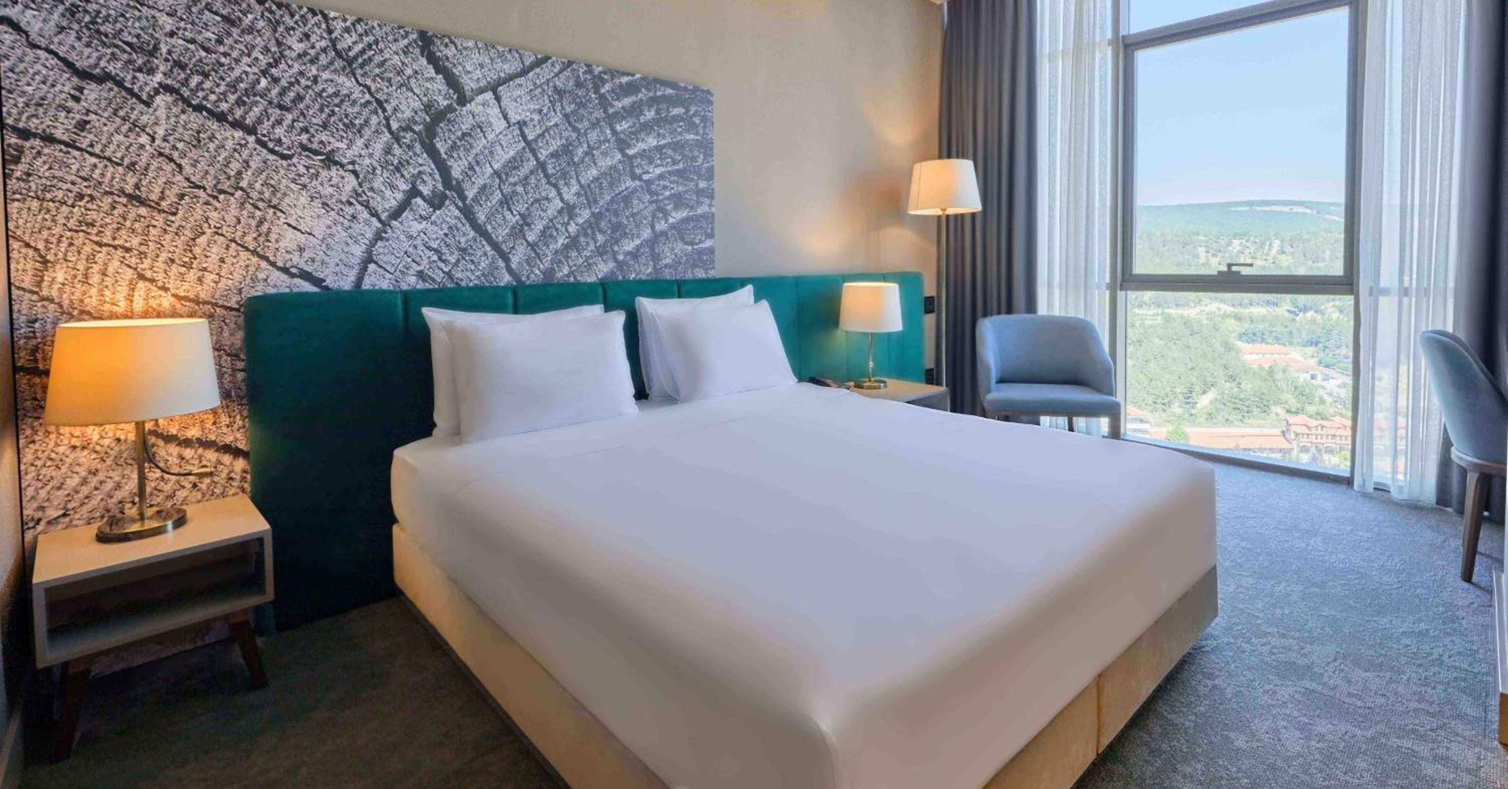 Deluxe King Room photo 1