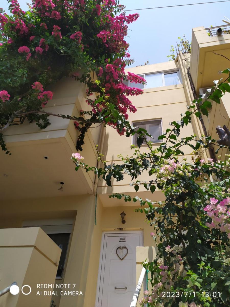 Apartment with Garden View
