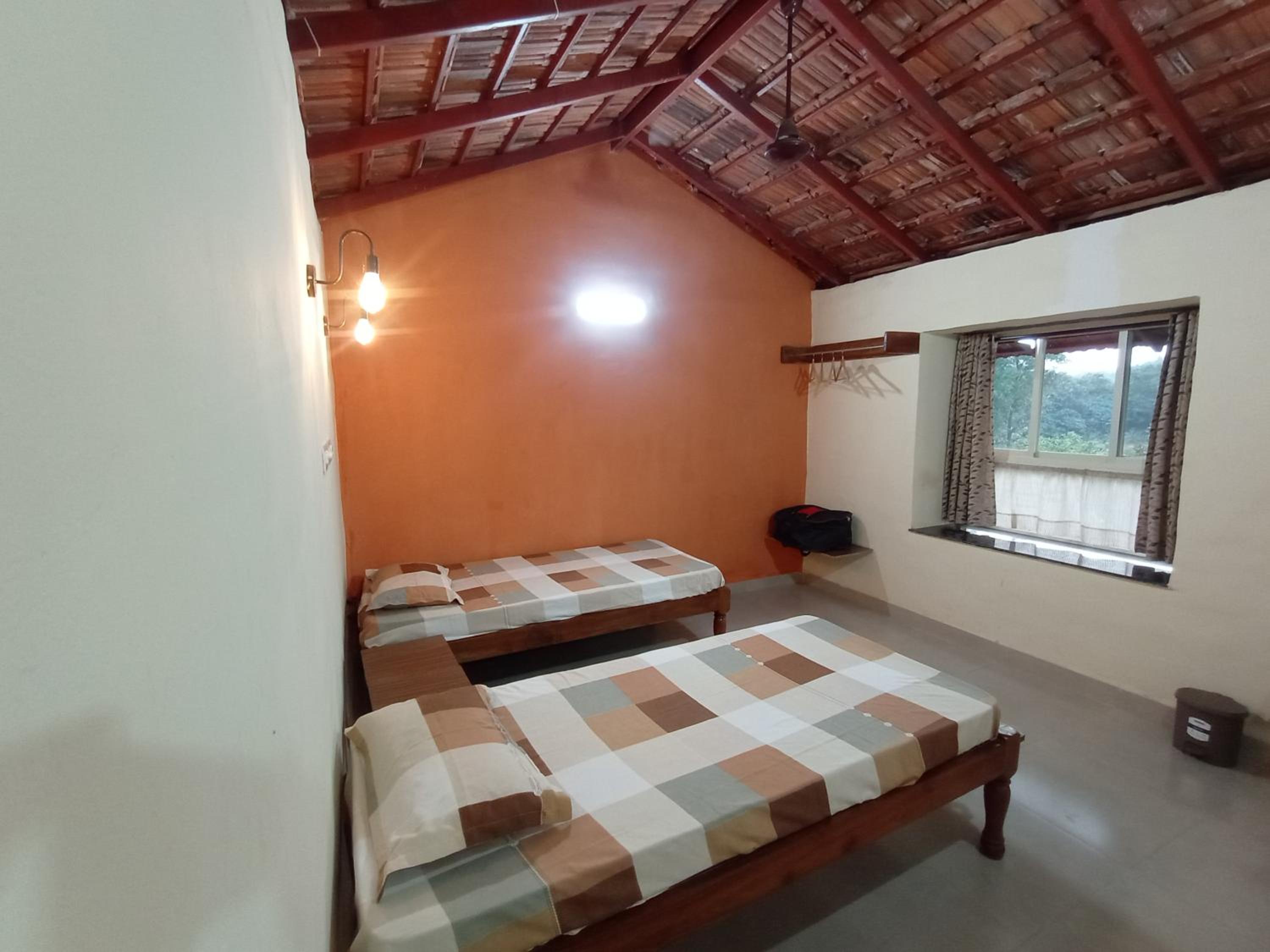 Twin Room photo 1