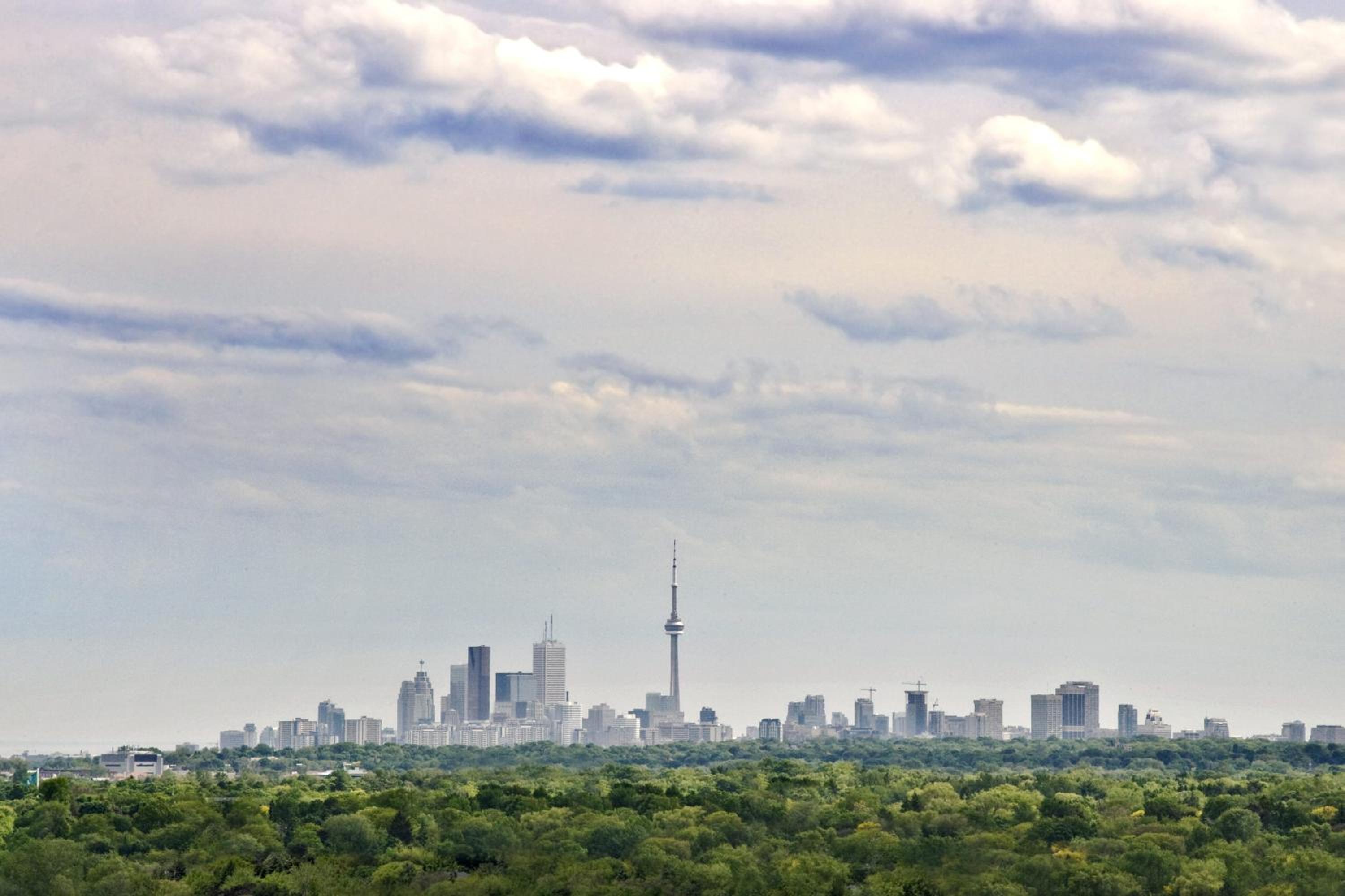 Premier Room King Bed - City View